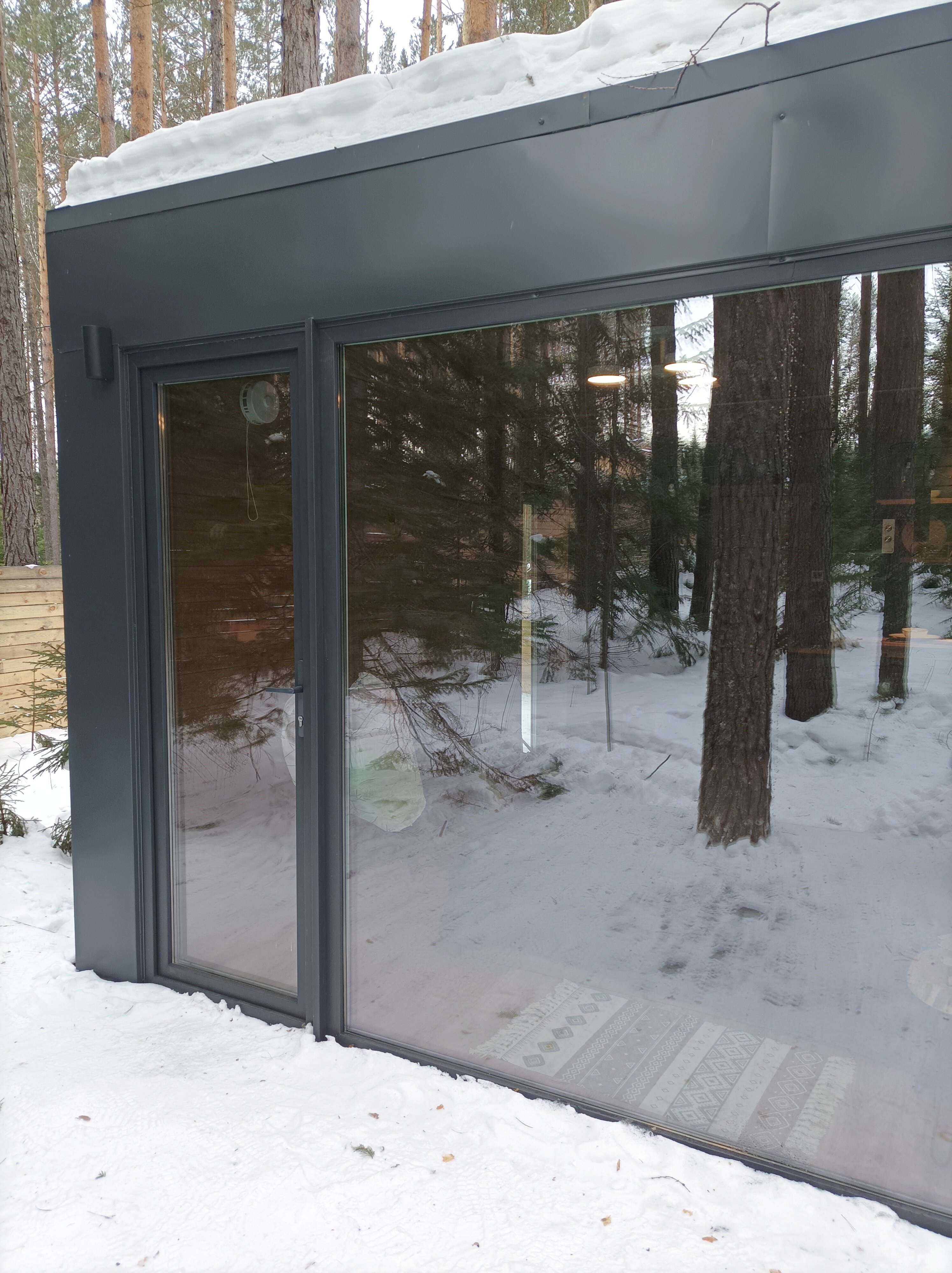 Фото Ёлки да Сосны