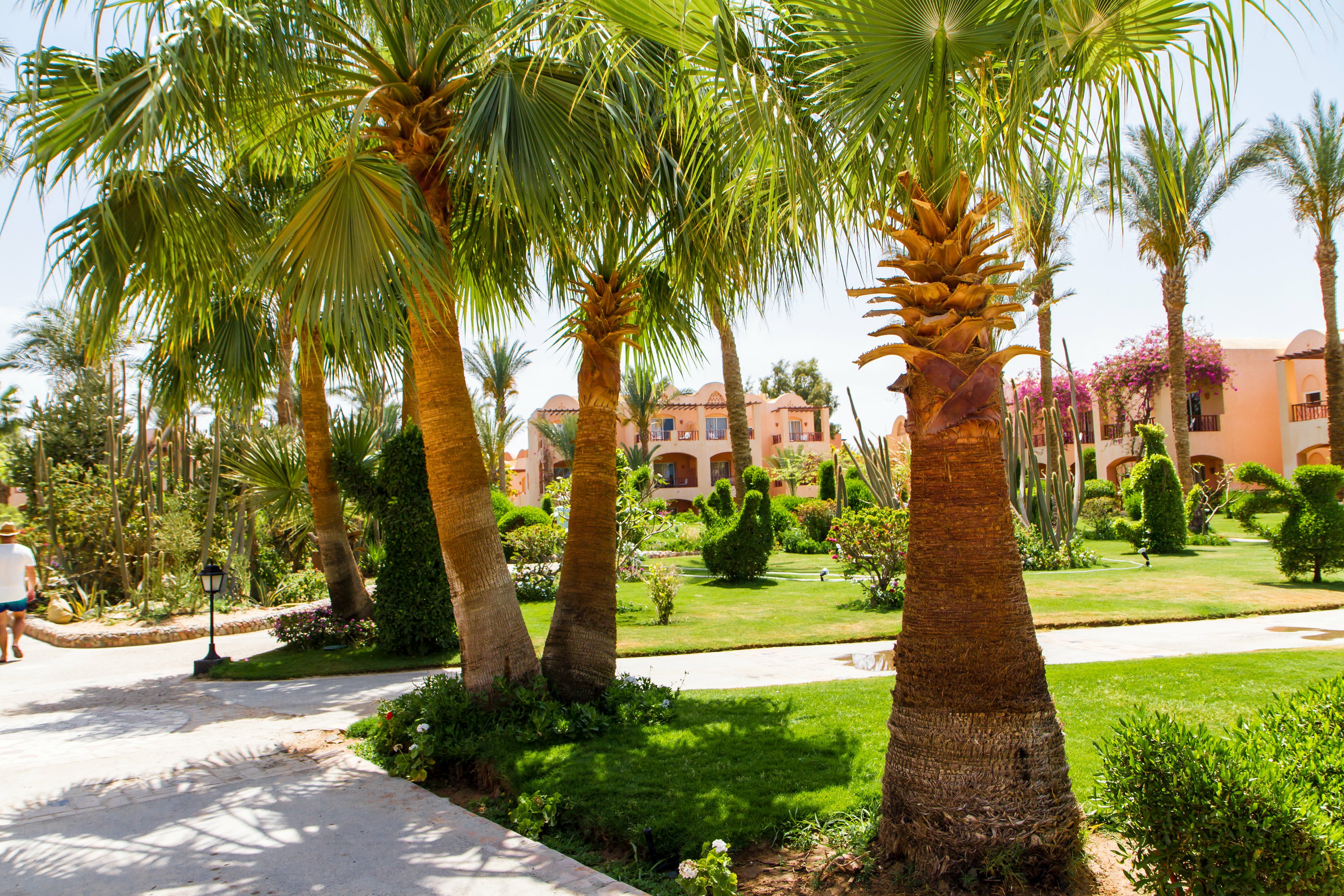 Фото Jaz Makadi Saraya Resort