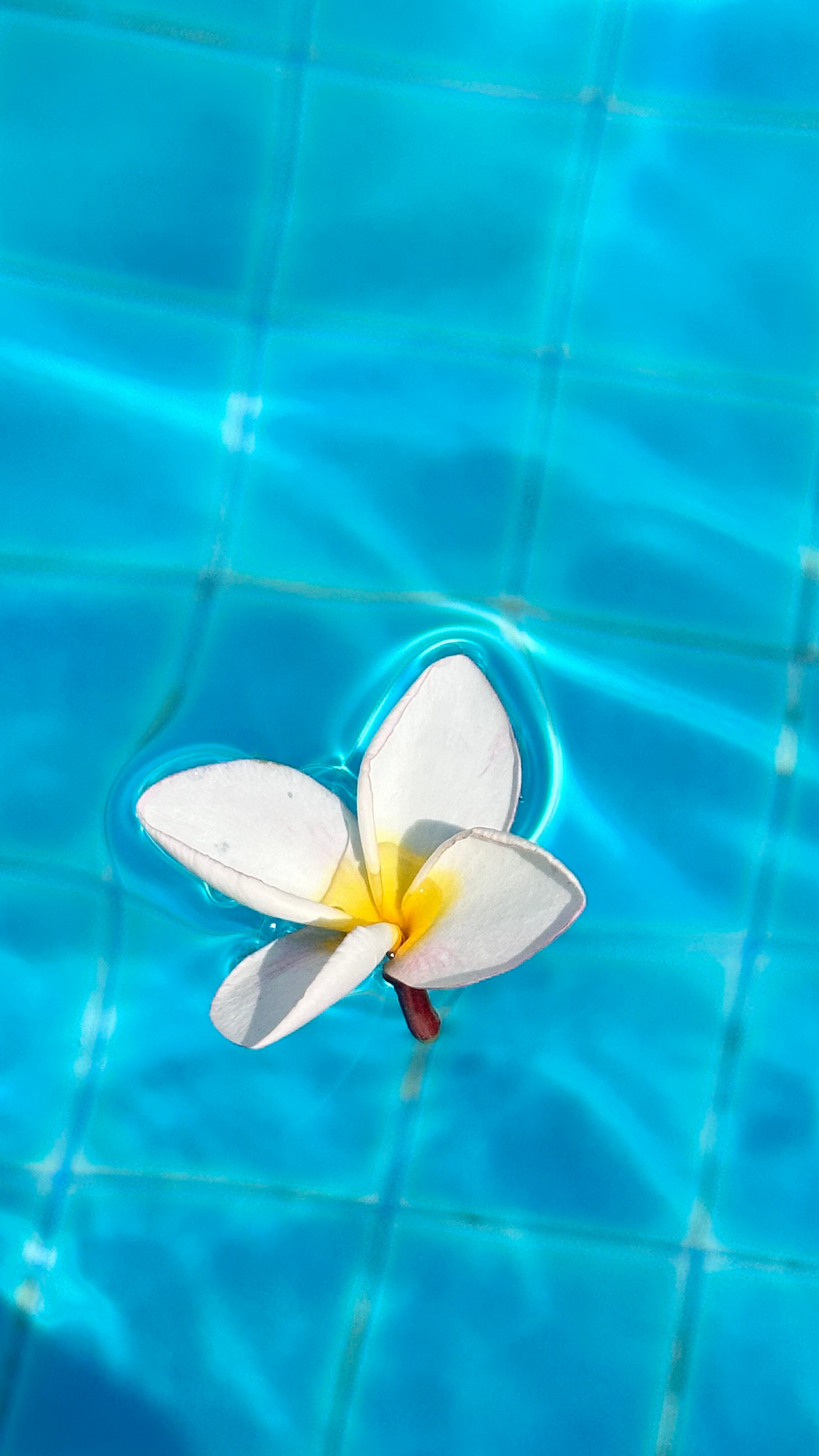 Фото Thavorn Palm Beach Resort Phuket