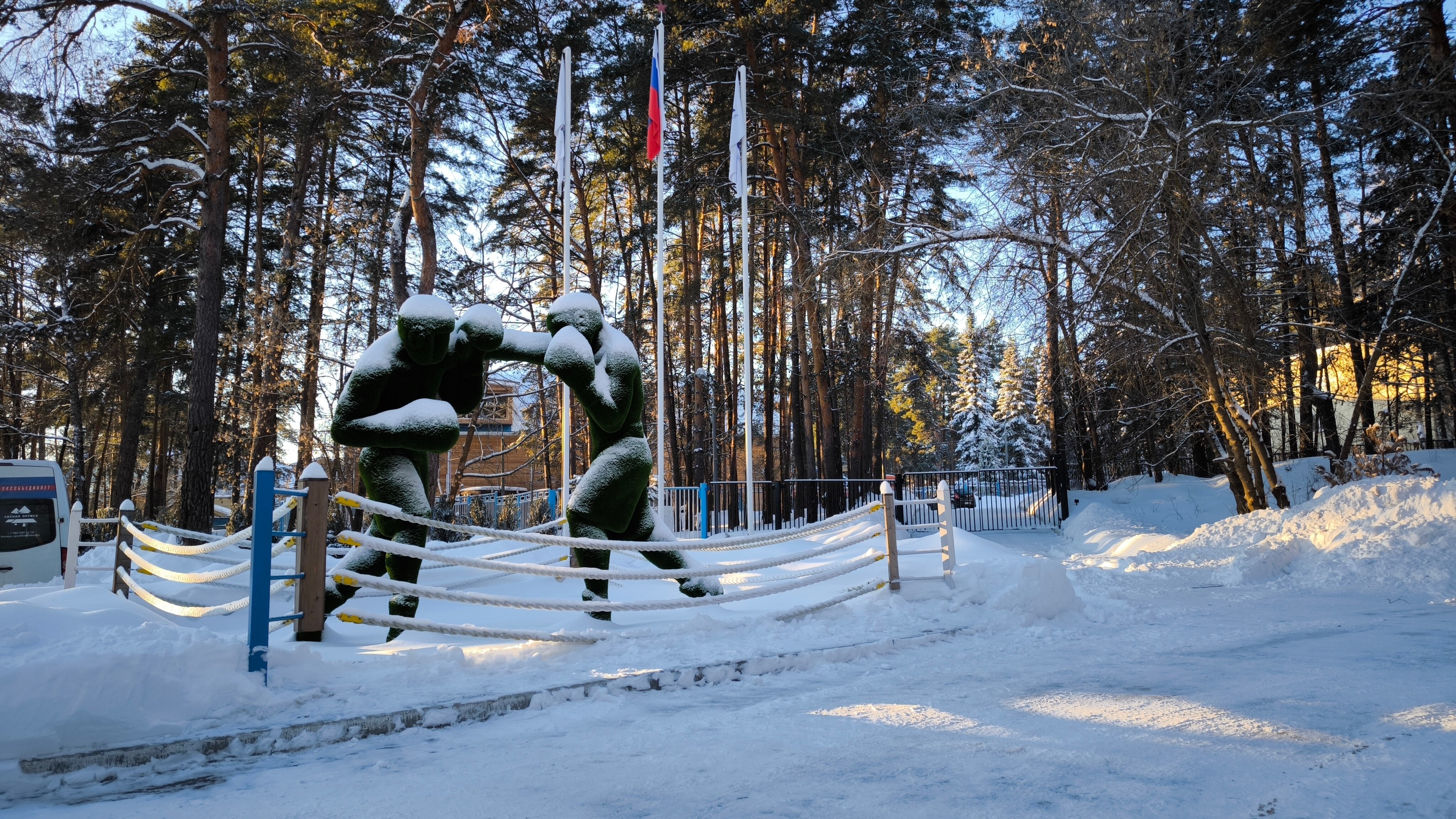 Фото Лесная опушка