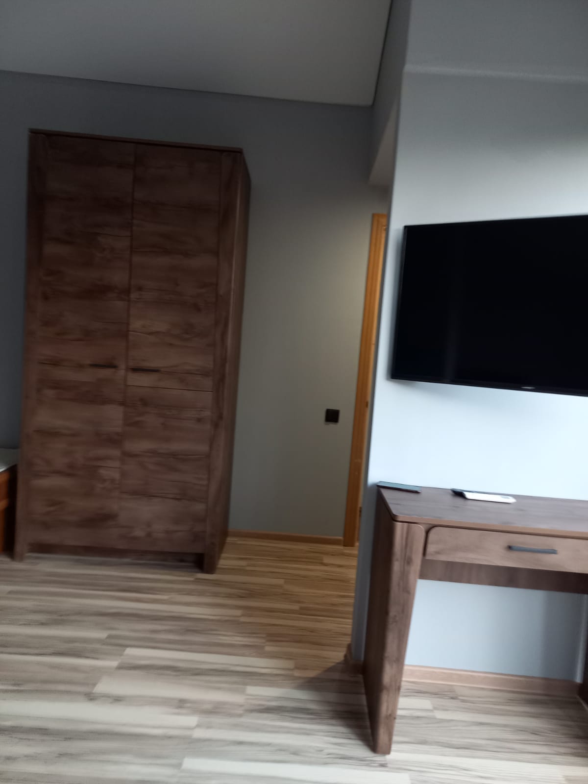 Фото Салангана