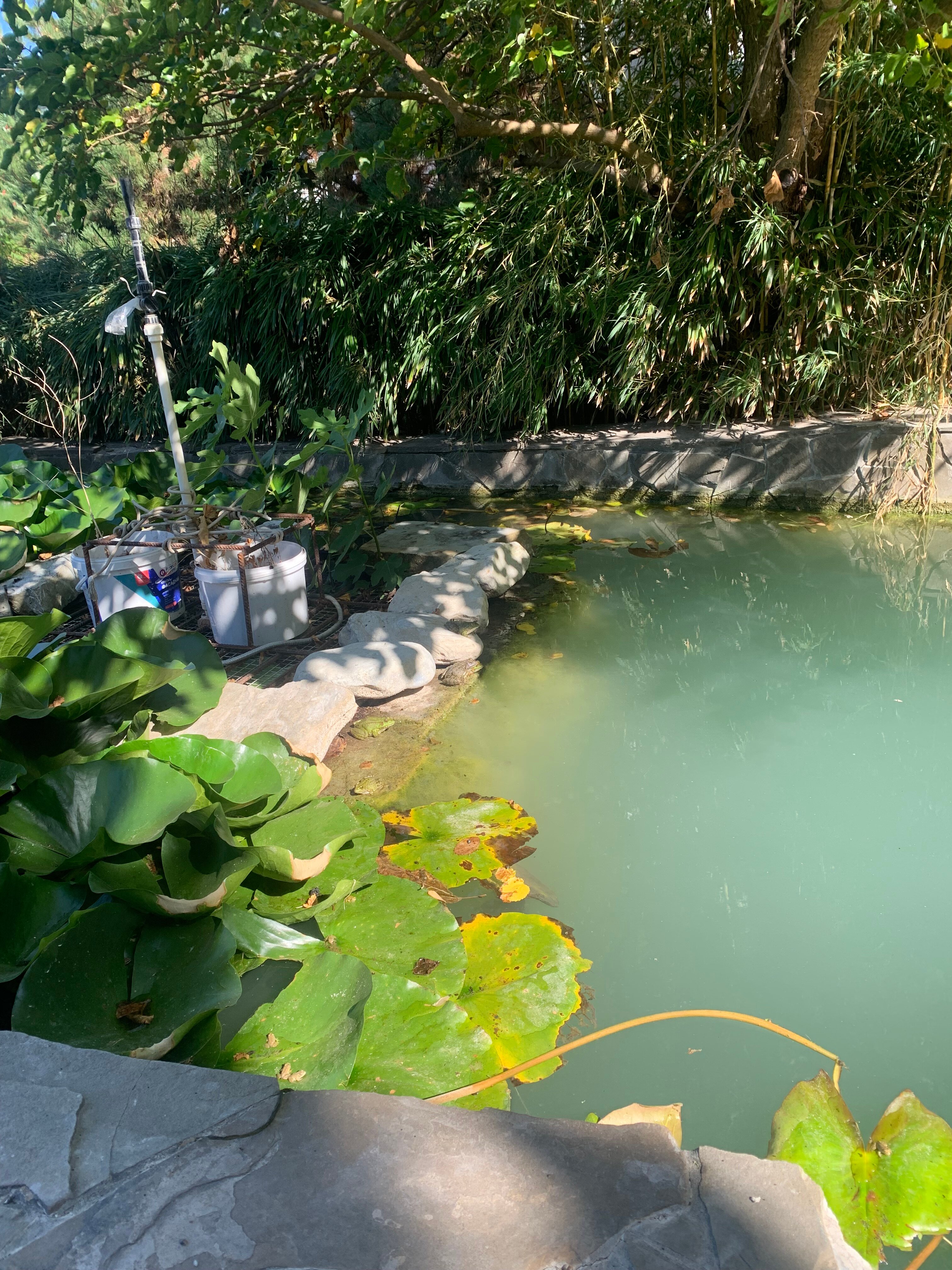 Фото Морской клуб