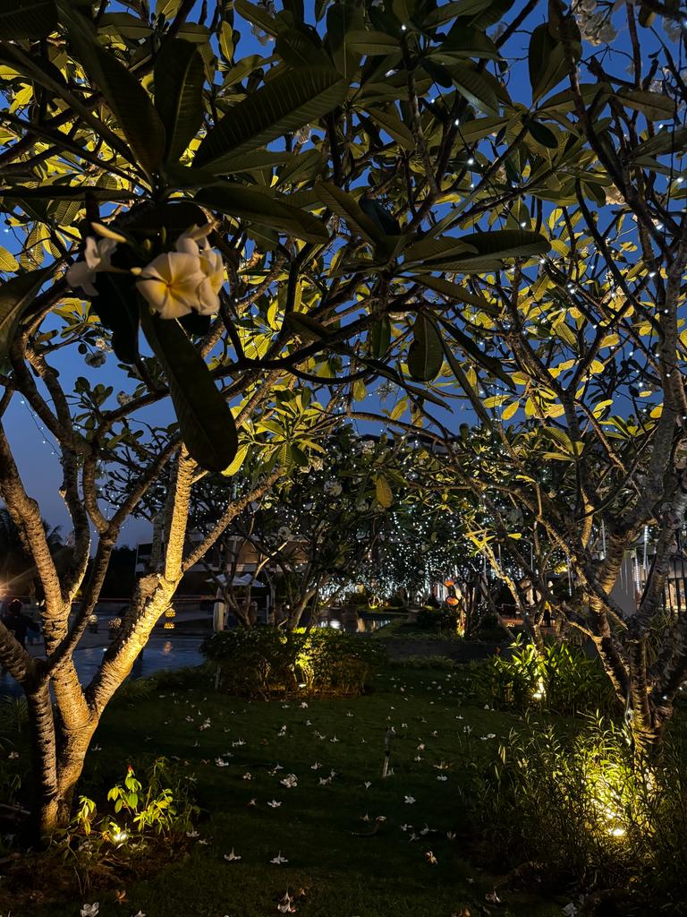 Фото Novotel Phu Quoc Resort