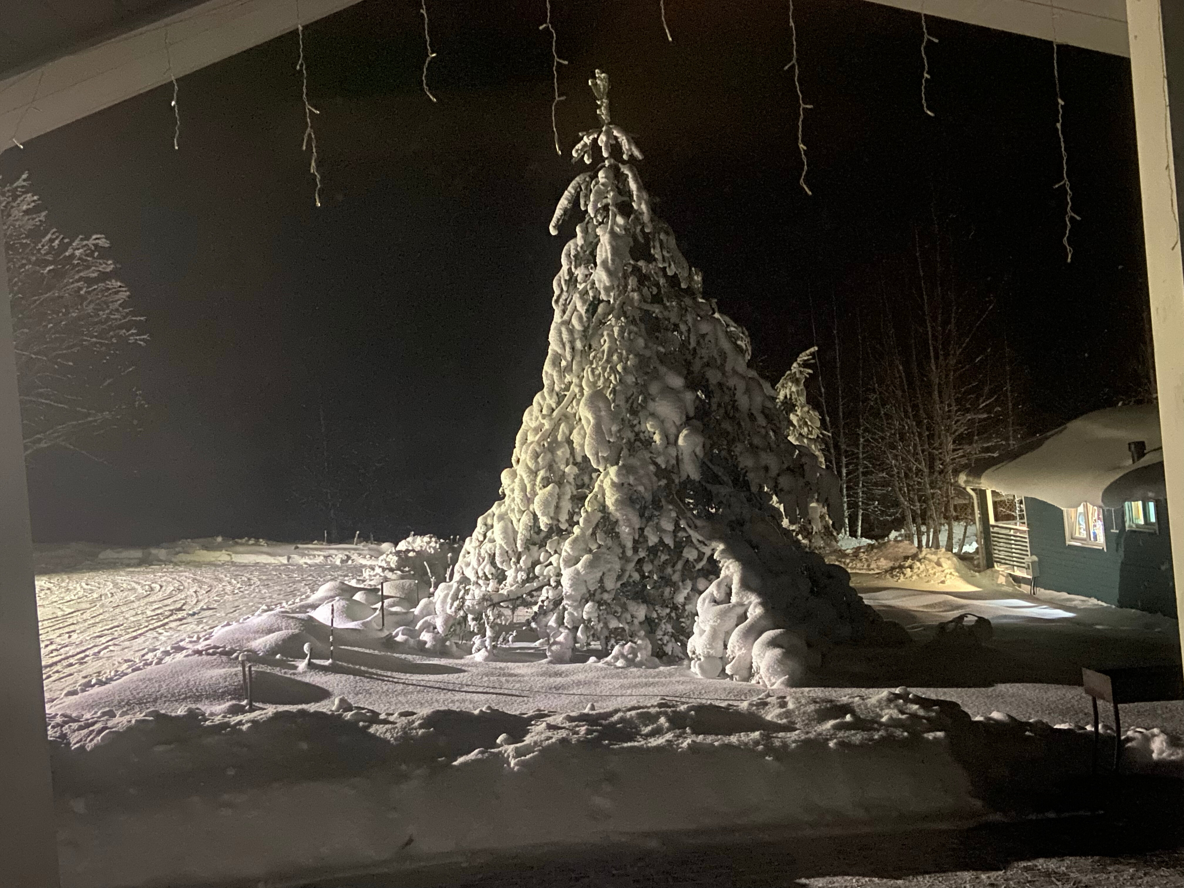 Фото Березовый хутор