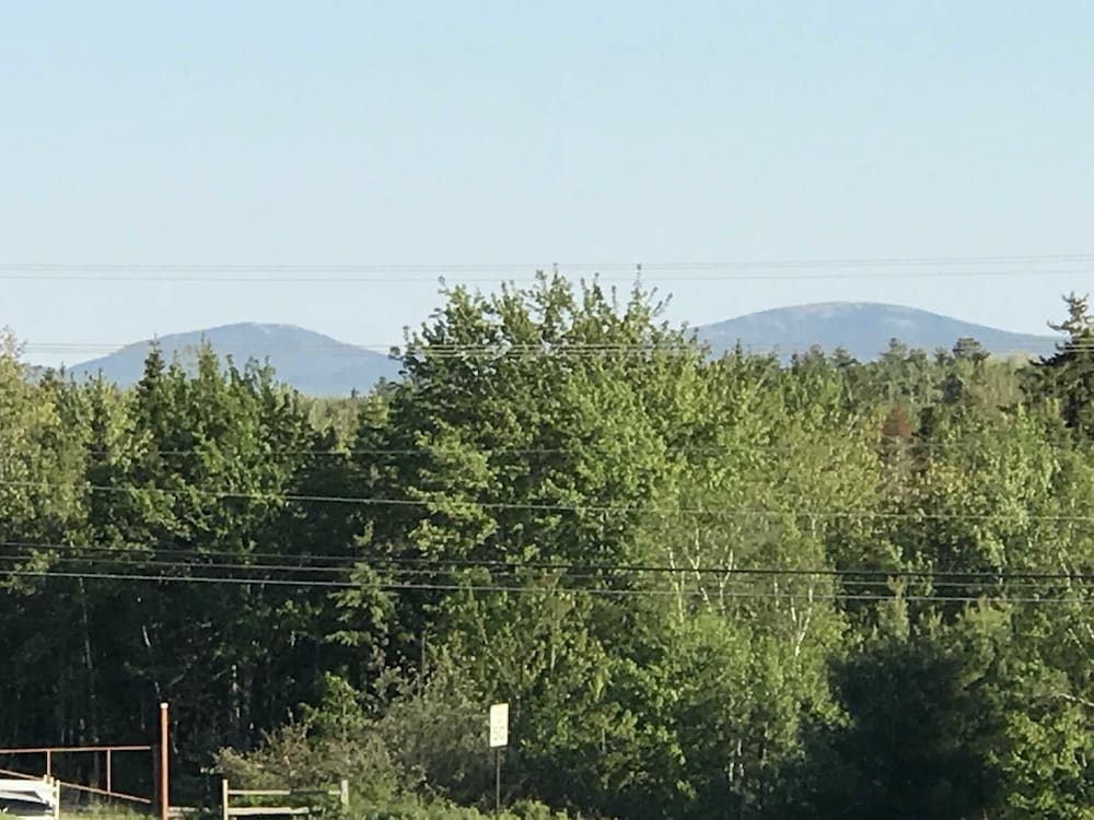 Фото White Birches Motel
