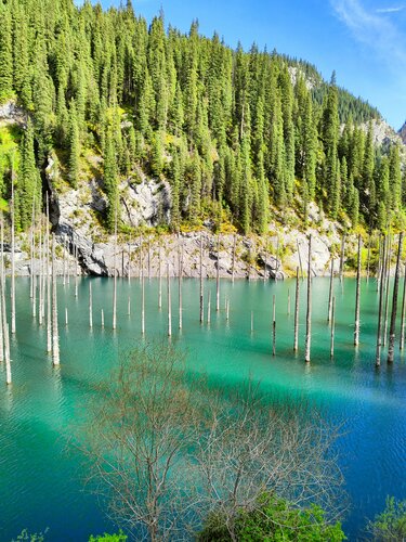 Желіде әрбір саңылауда трахналдық жетілген әйелдерді қараңыз.