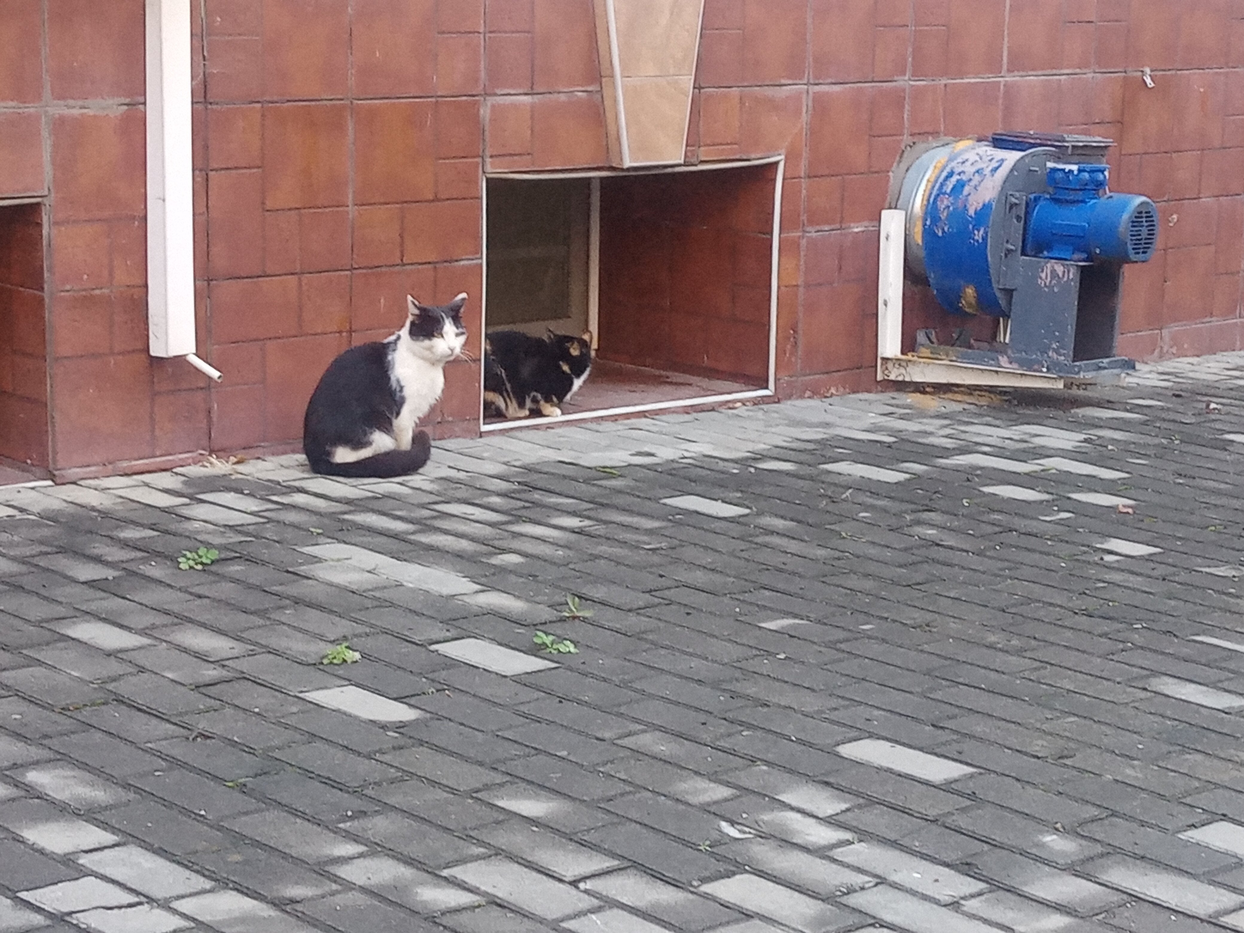 Фото Дача Генерала Николаева