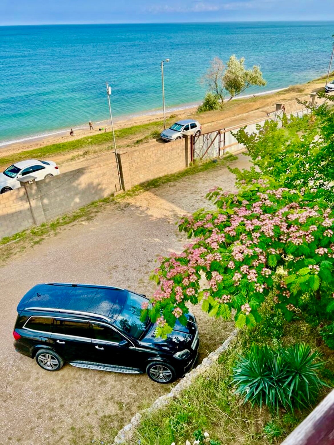 Фото Яркий берег