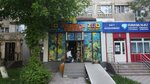 Gold fish (16-shy shaǵyn aýdan, 6), pet shop