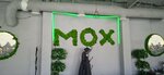 Мох (Frolovskaya ulitsa, 14/3) ، مقهى