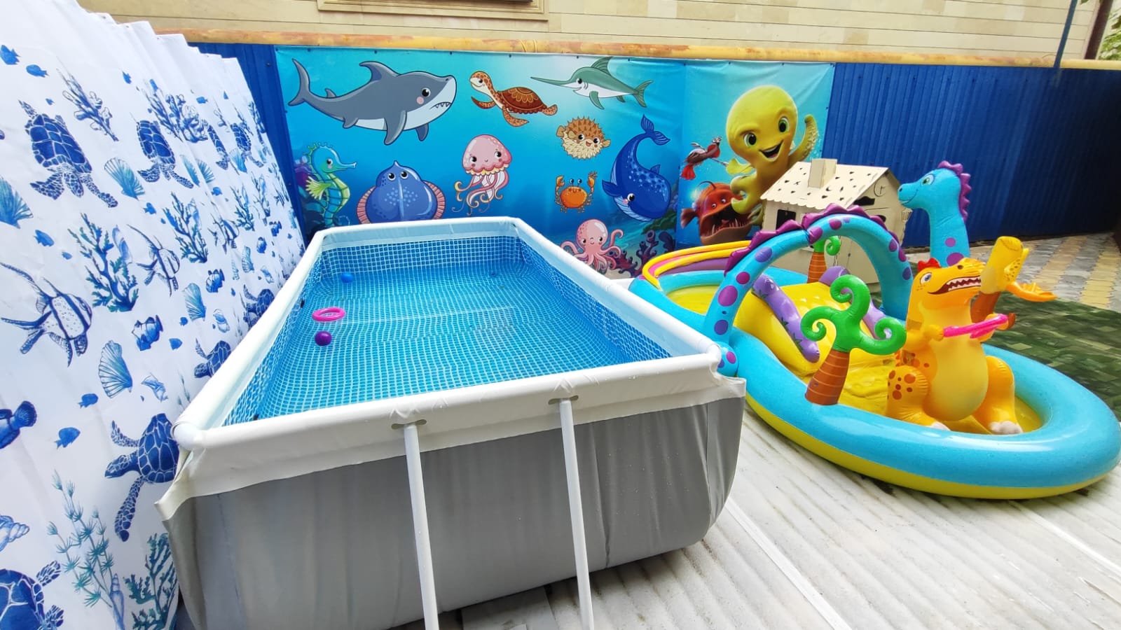 Фото Афалина