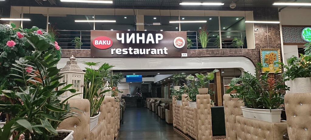 Ресторан Чинар, Москва, фото