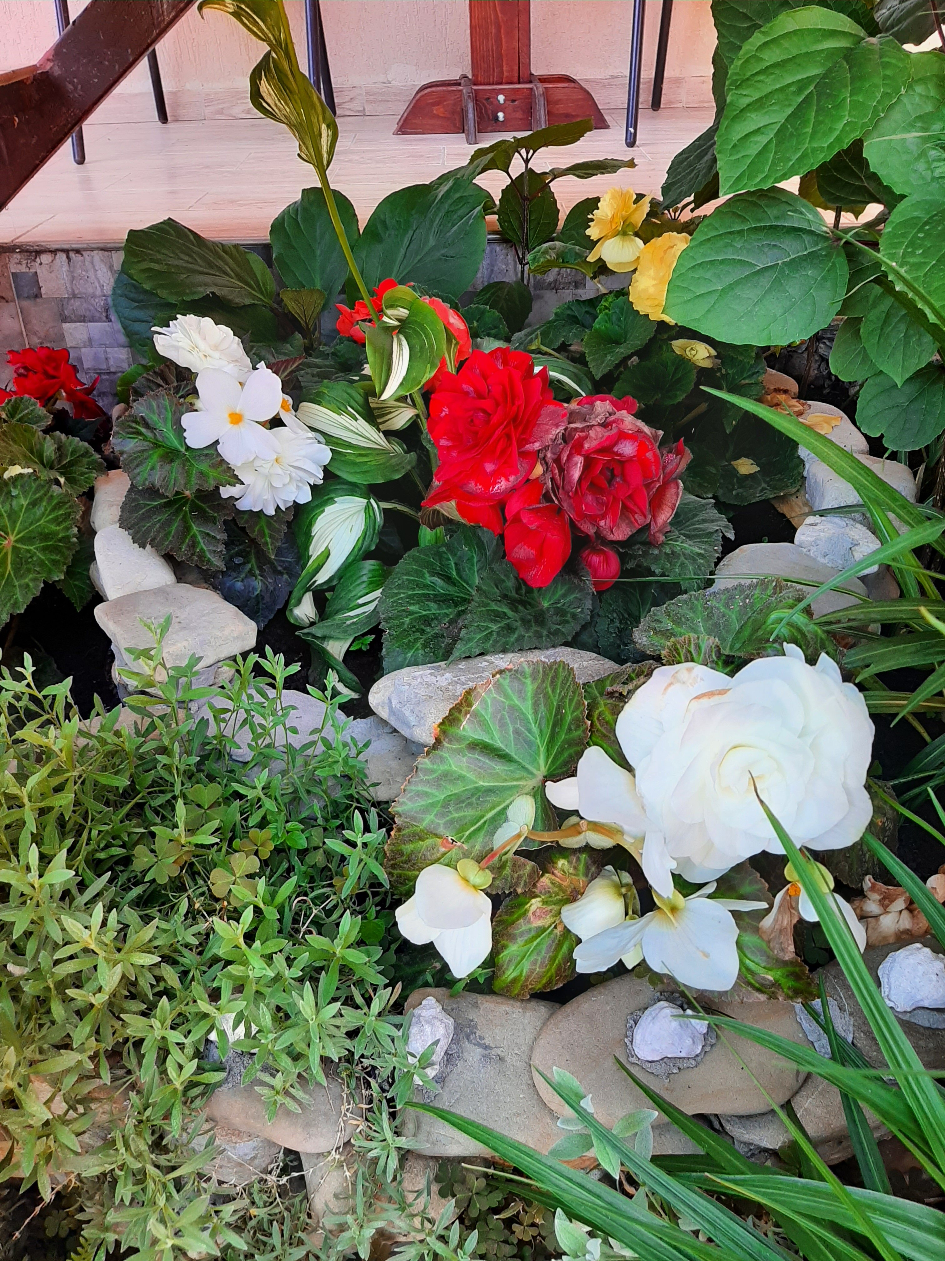 Фото Санрайз