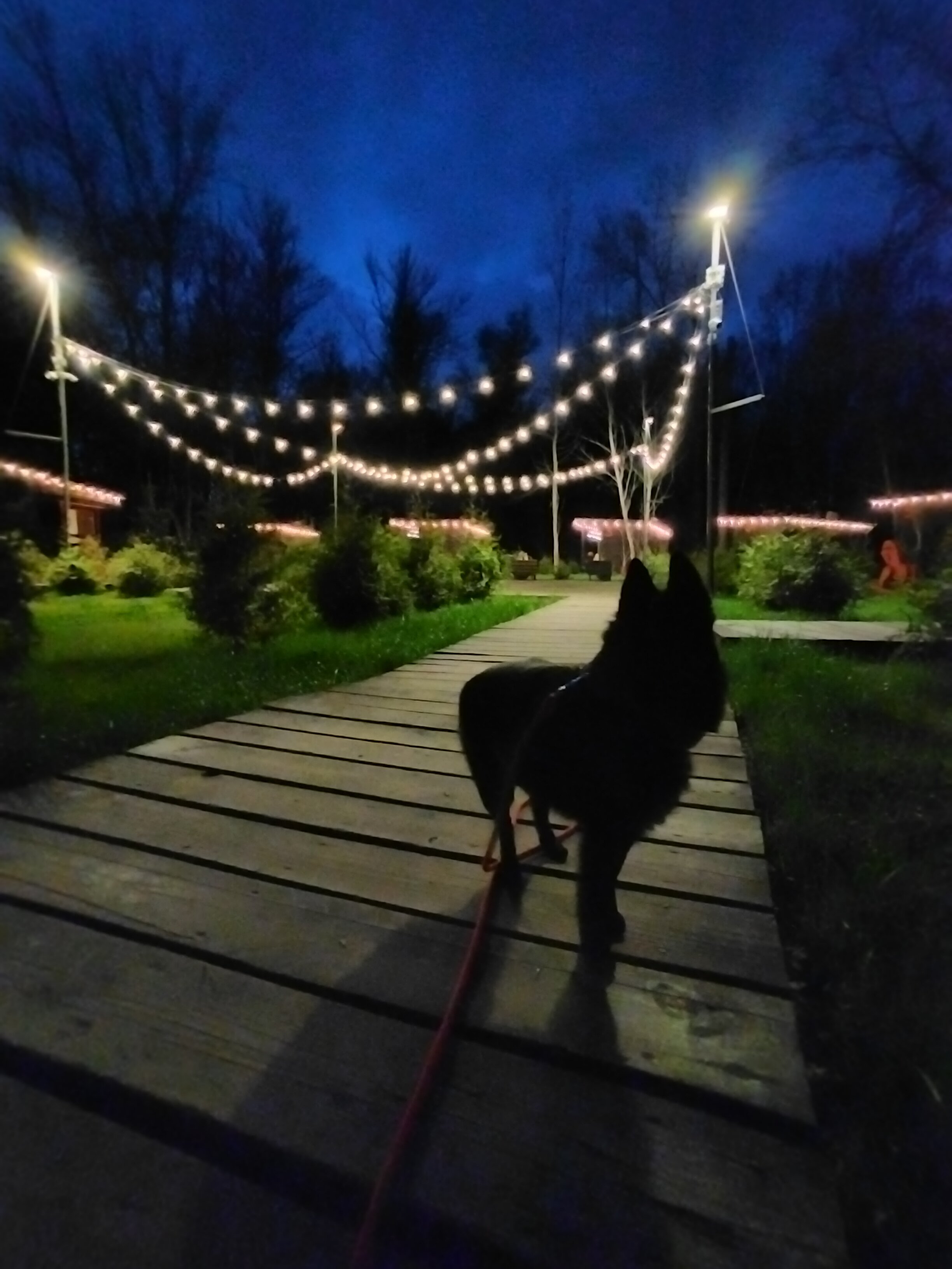 Фото Простые Радости