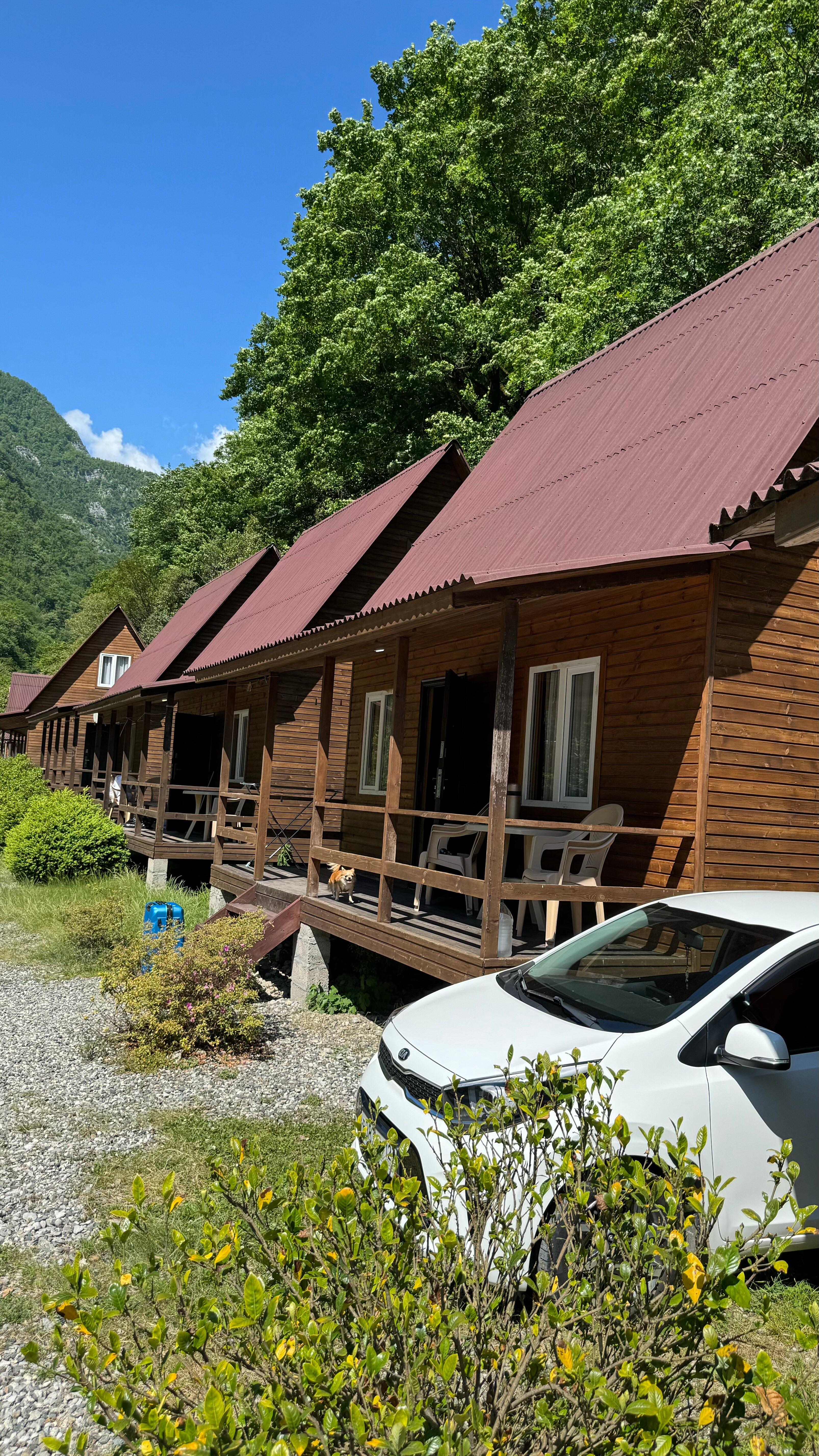 Фото Жоэквара