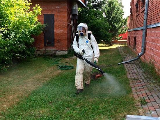 Disinfection, disinsection, deratization EcoLab, Kazan, photo