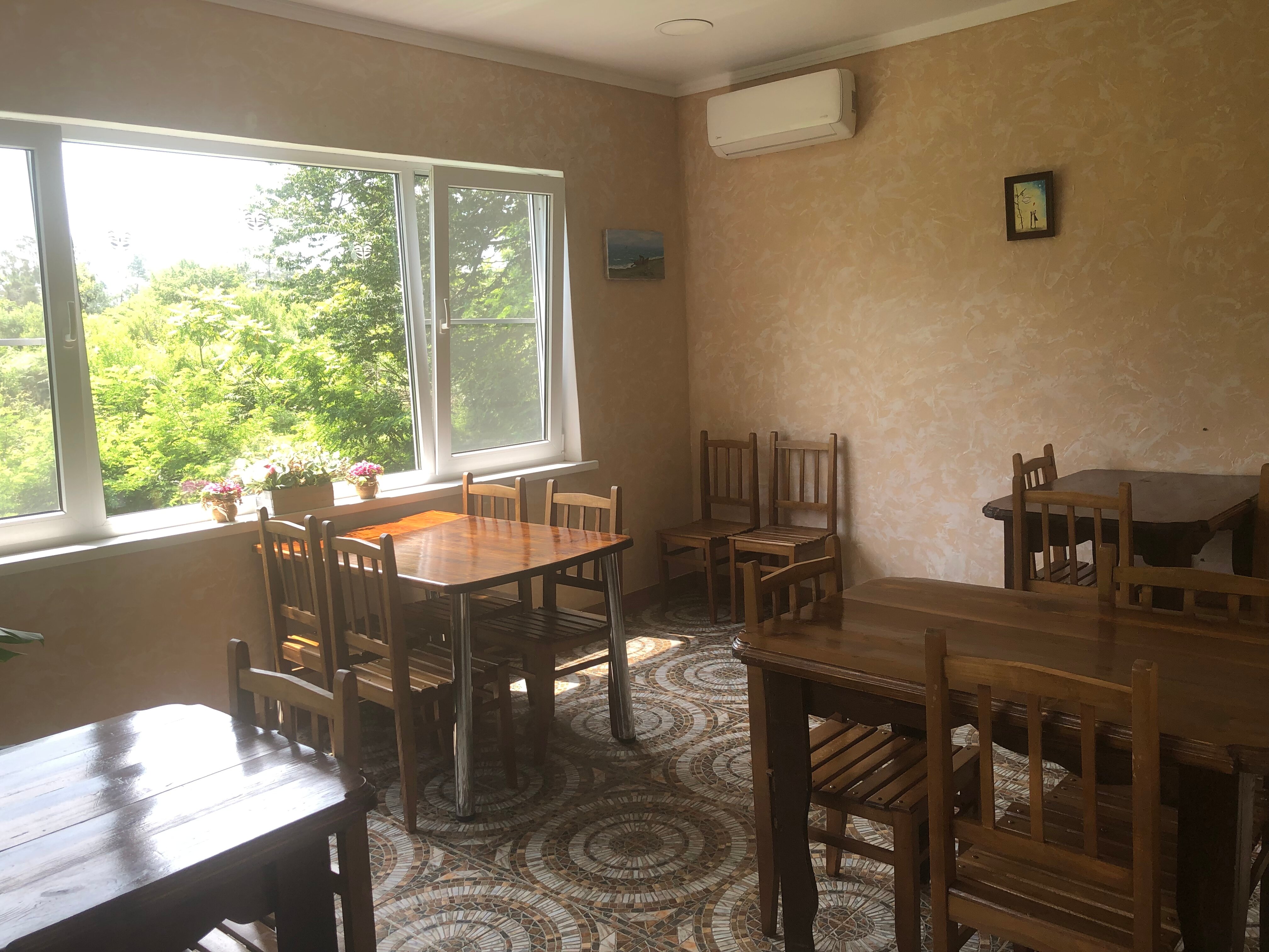 Фото Эвкалипт