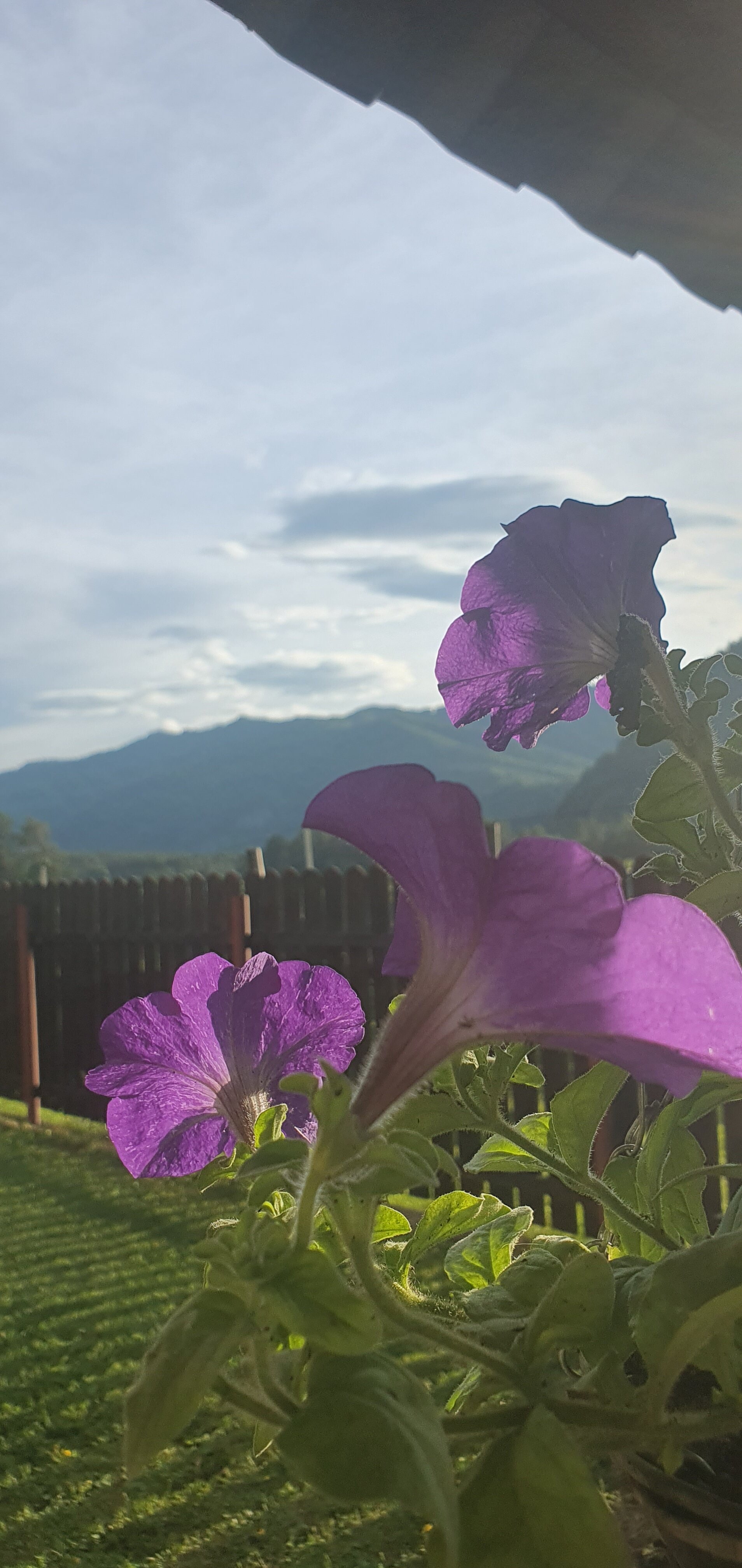 Фото АлтайДача22