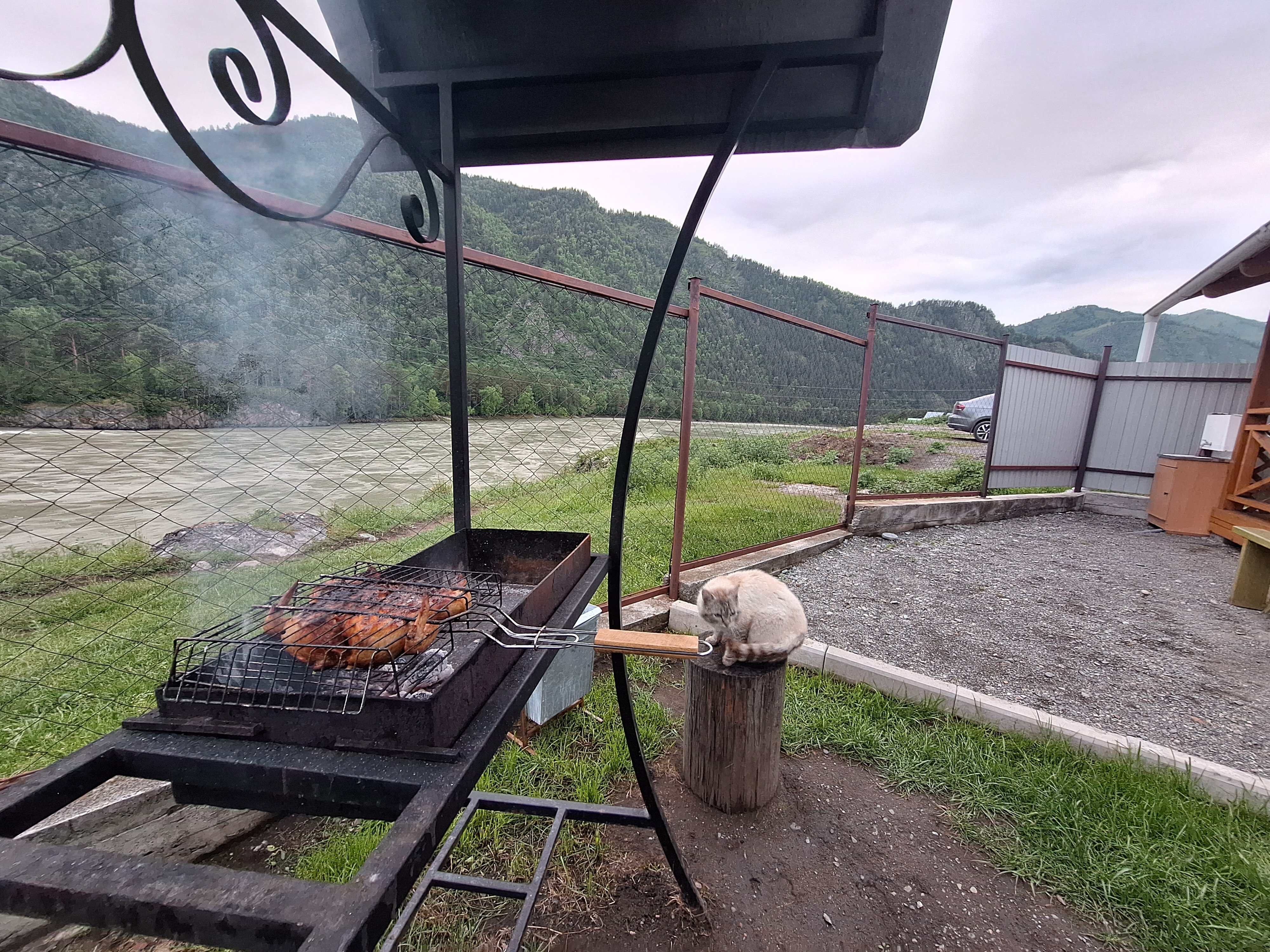 Фото Любо-дорого