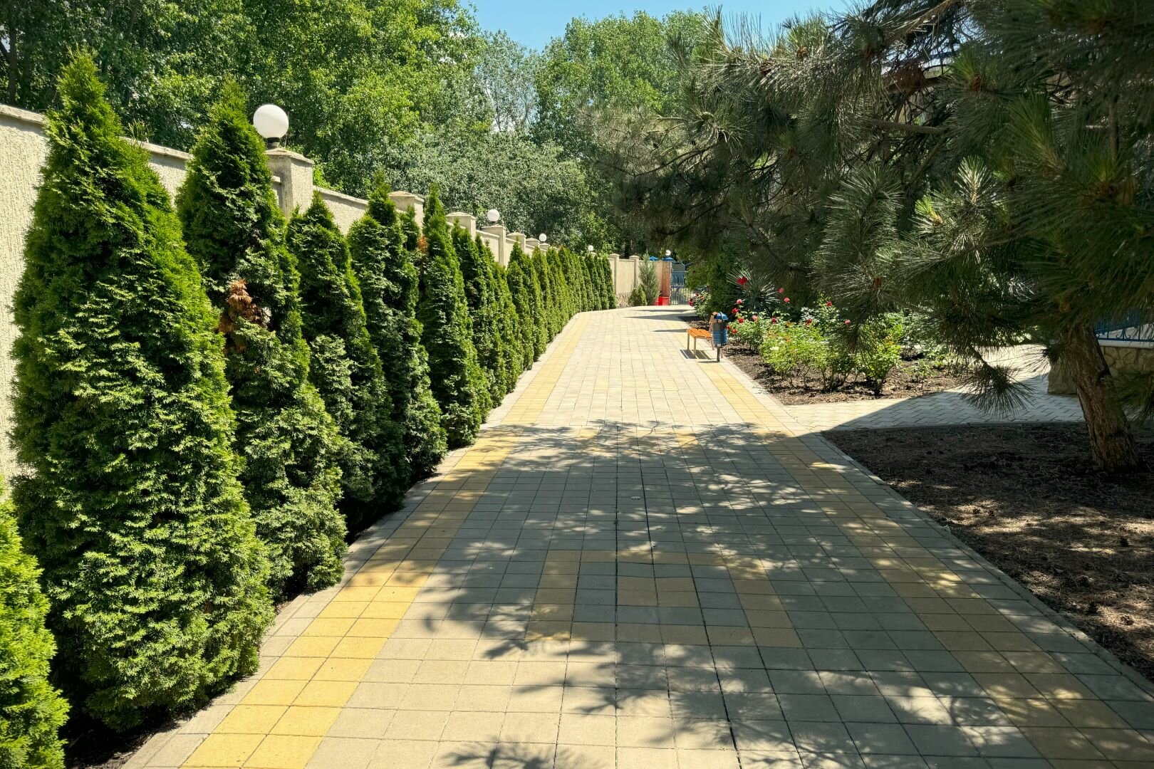 Фото Серенити