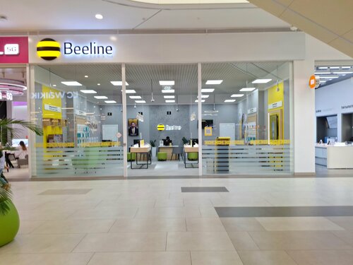 Жоғары және төмен порно