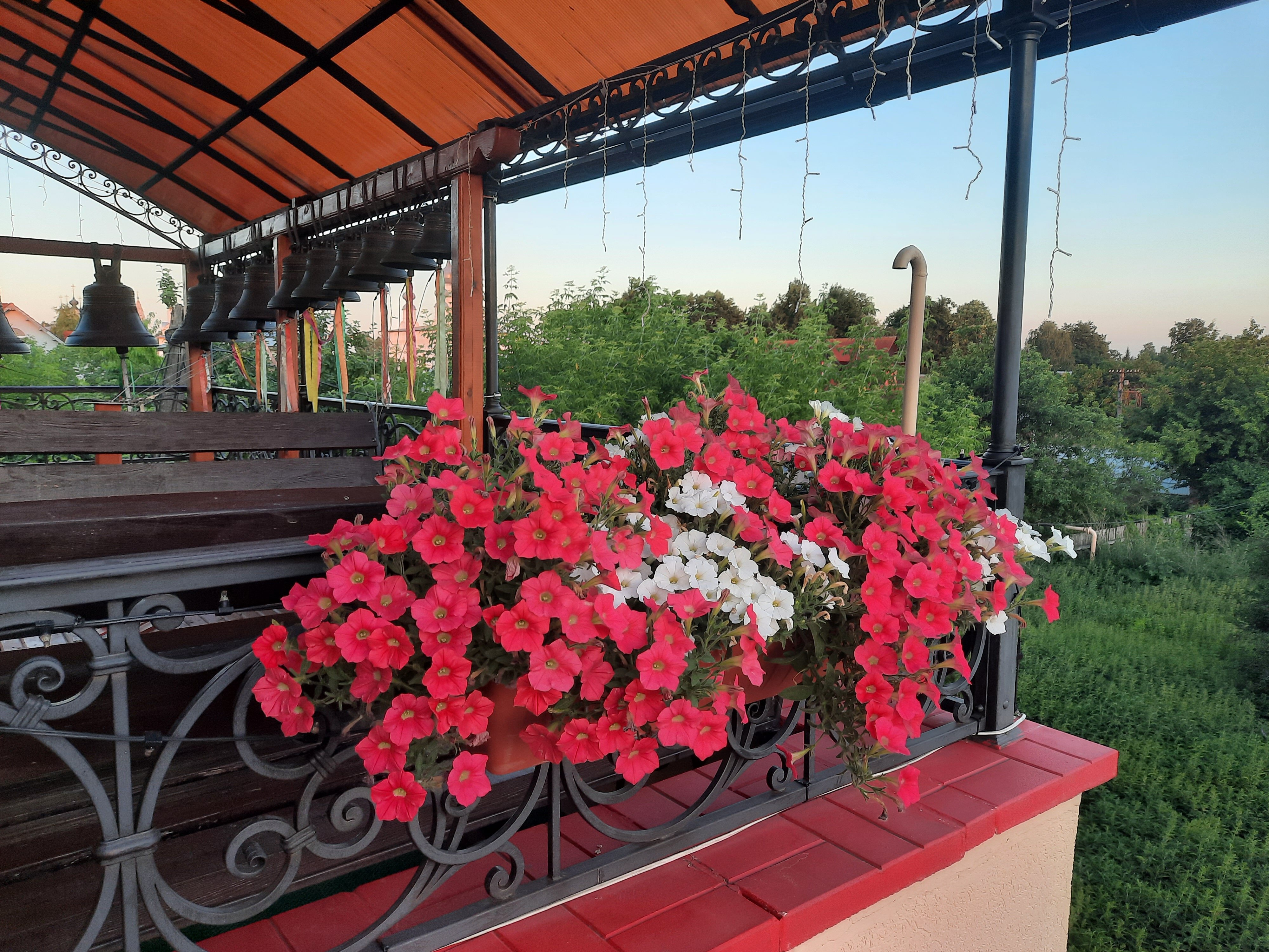 Фото Театральный