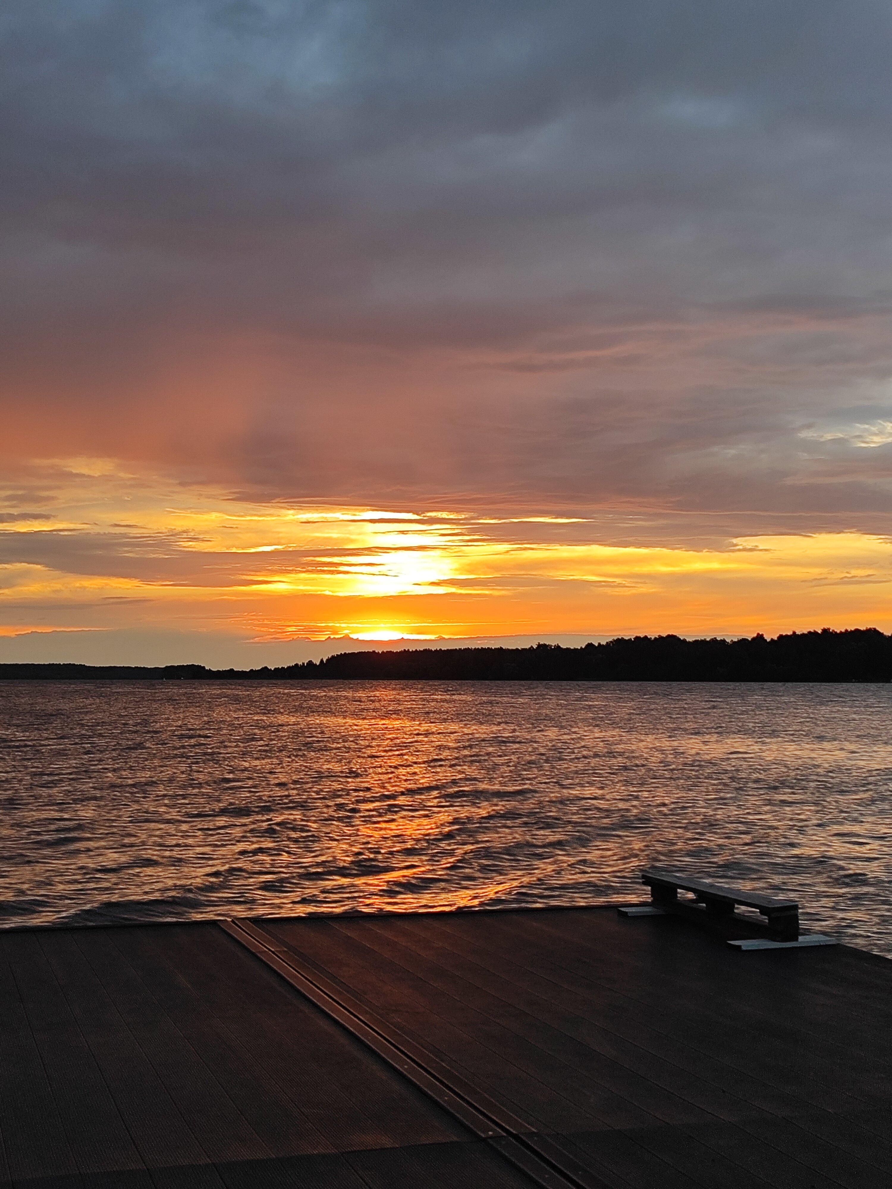 Фото Ёлки зелёные