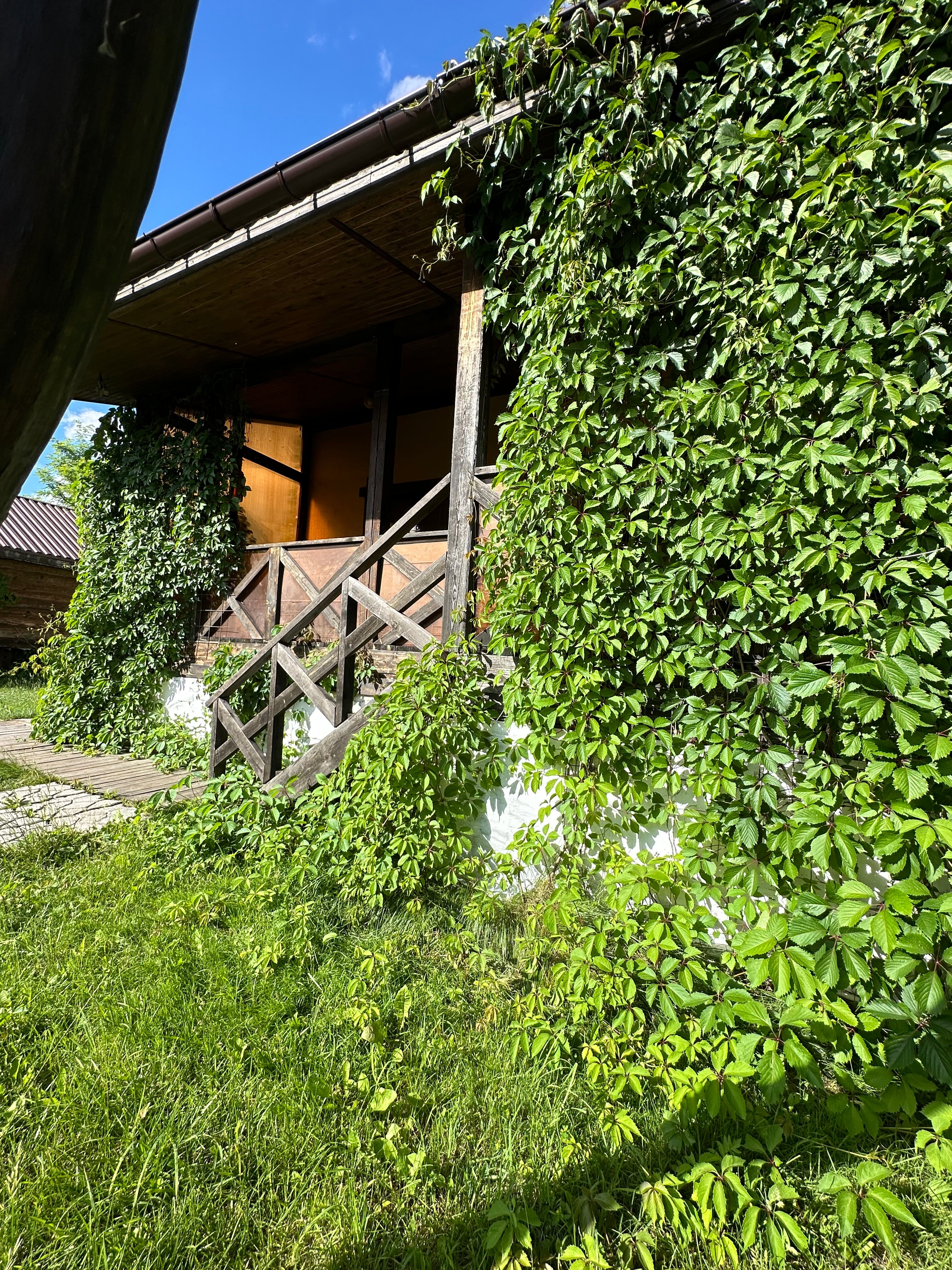 Фото Скаzка