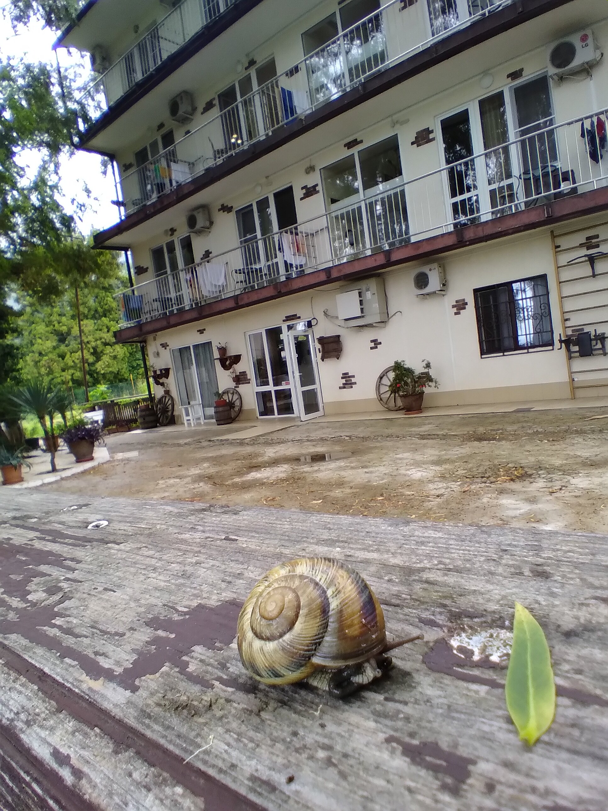 Фото отеля 2