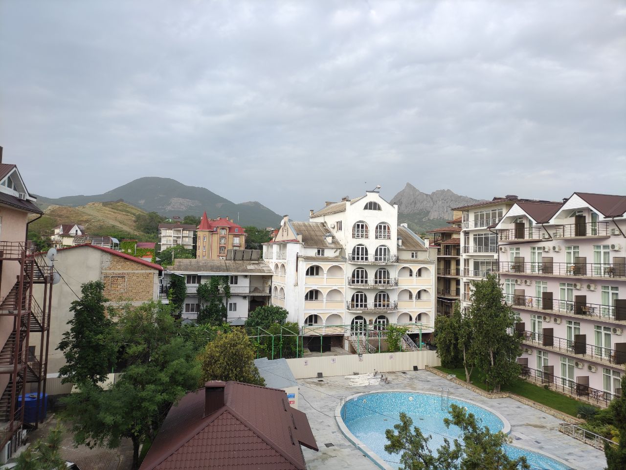 Фото Камелия-Кафа