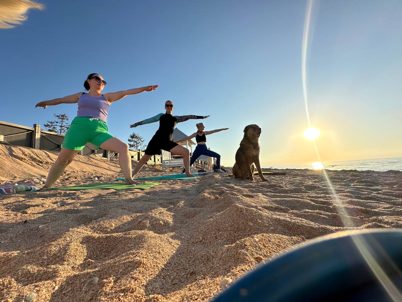 Фото Азовская чайка