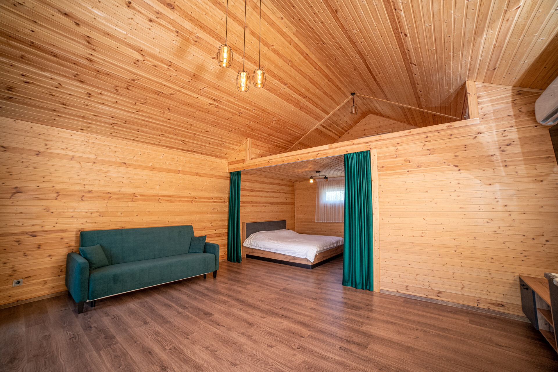 Фото Елки и Иголки