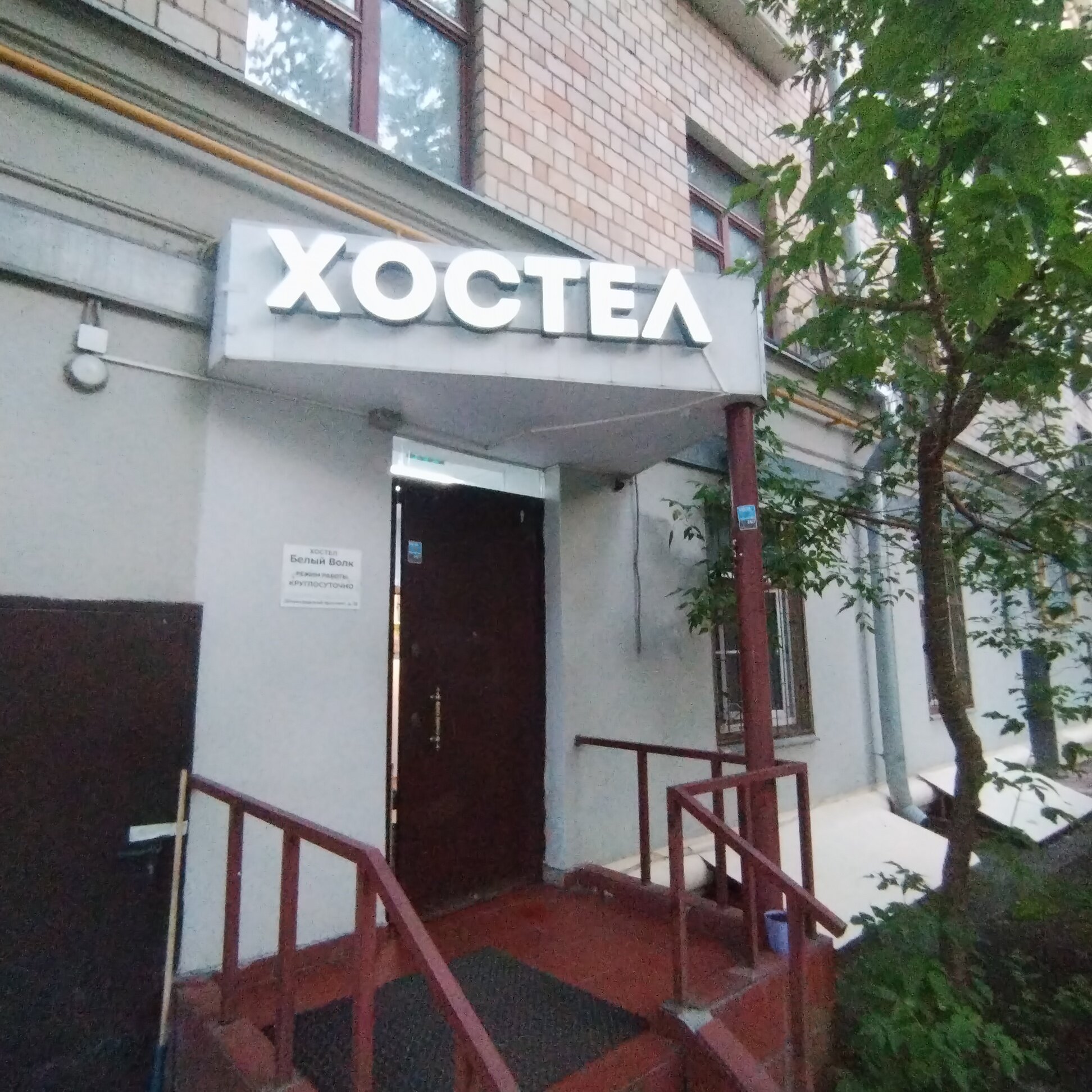 Фото Белый Волк