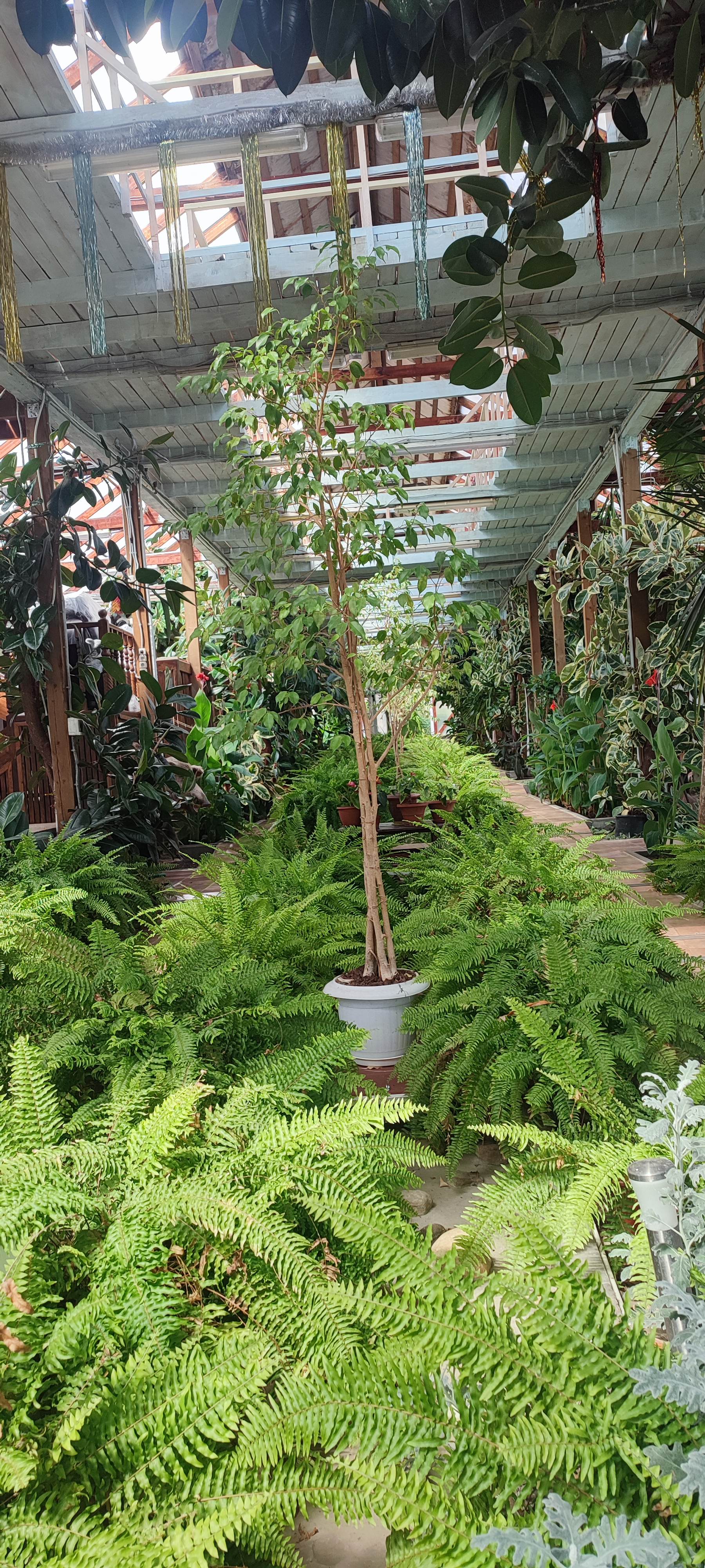 Фото Усадьба Абузерье