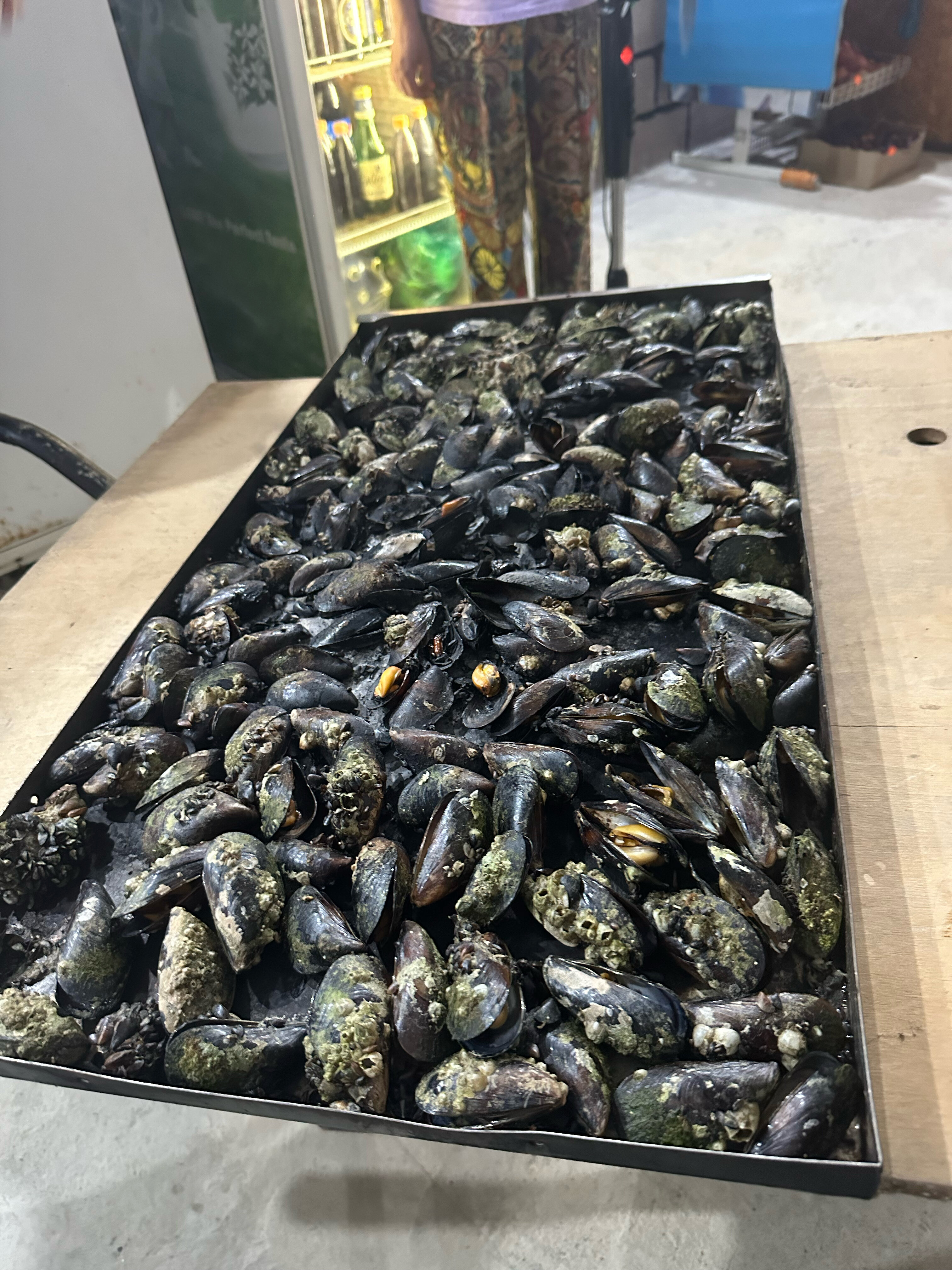 Фото Манушак