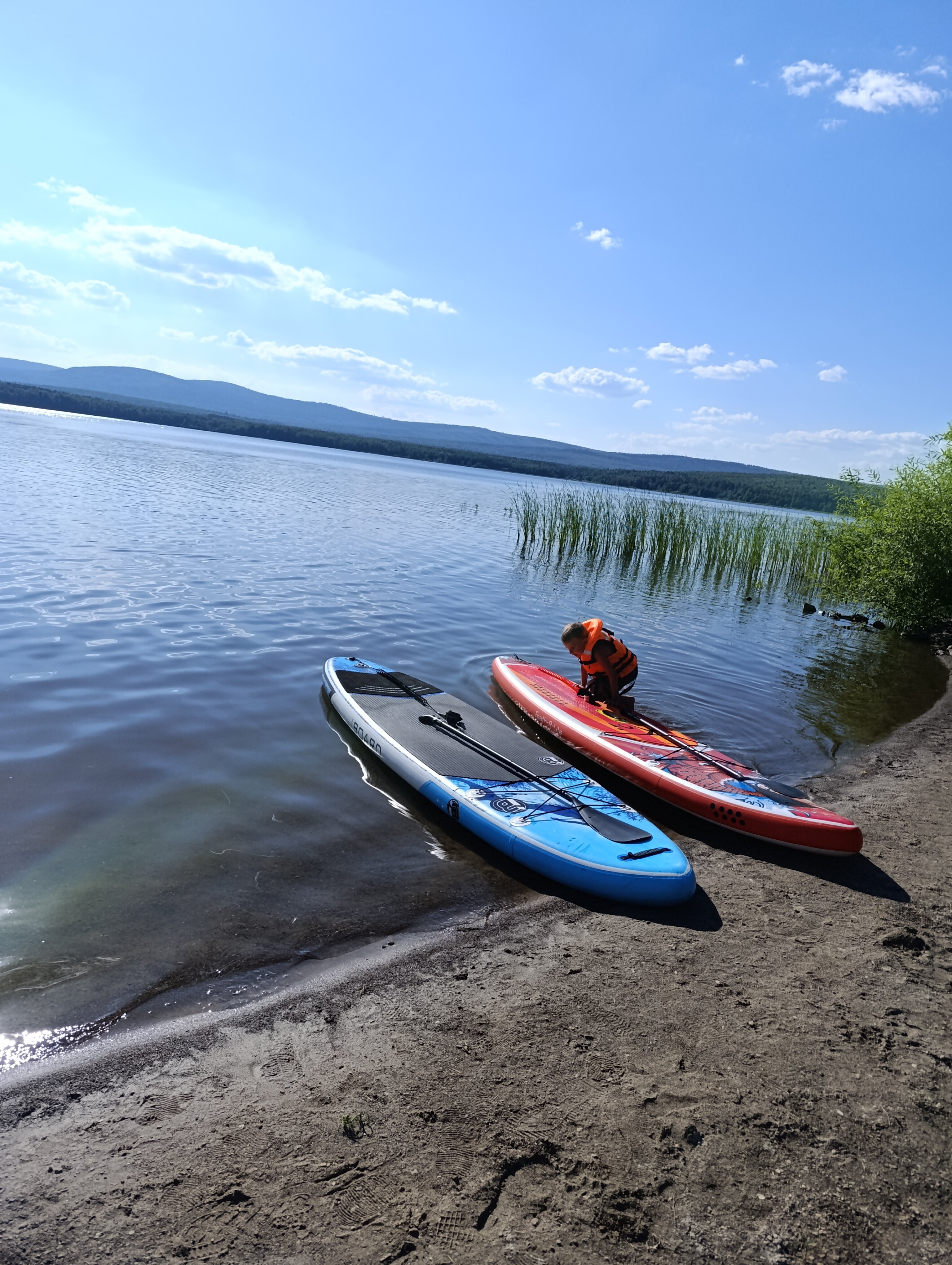 Фото Вогульский крокодил