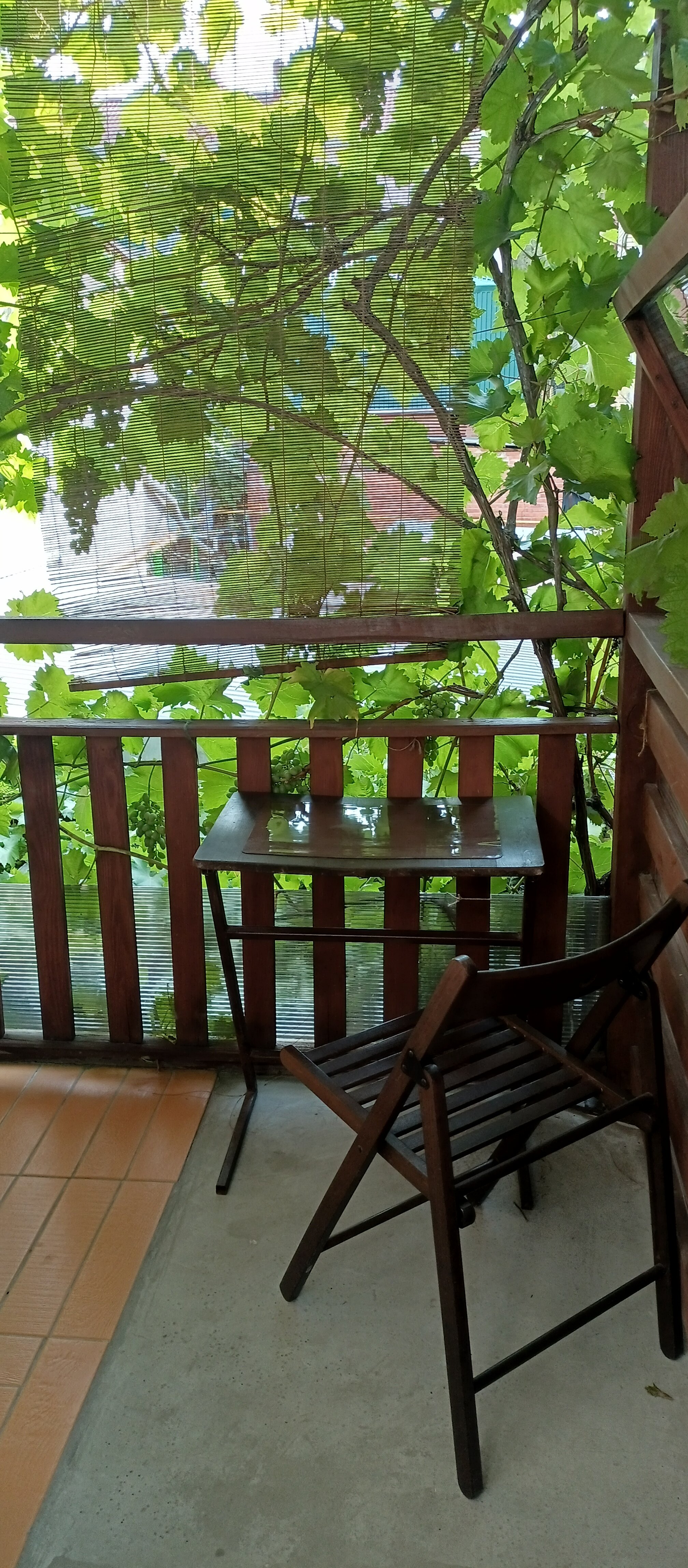 Фото Елисеевский