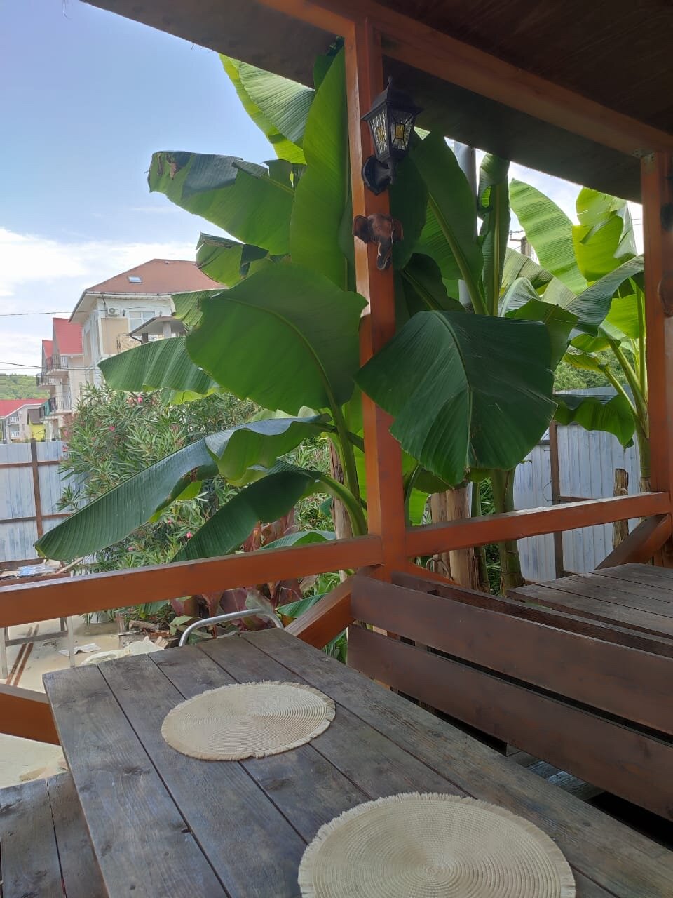 Фото Тропики