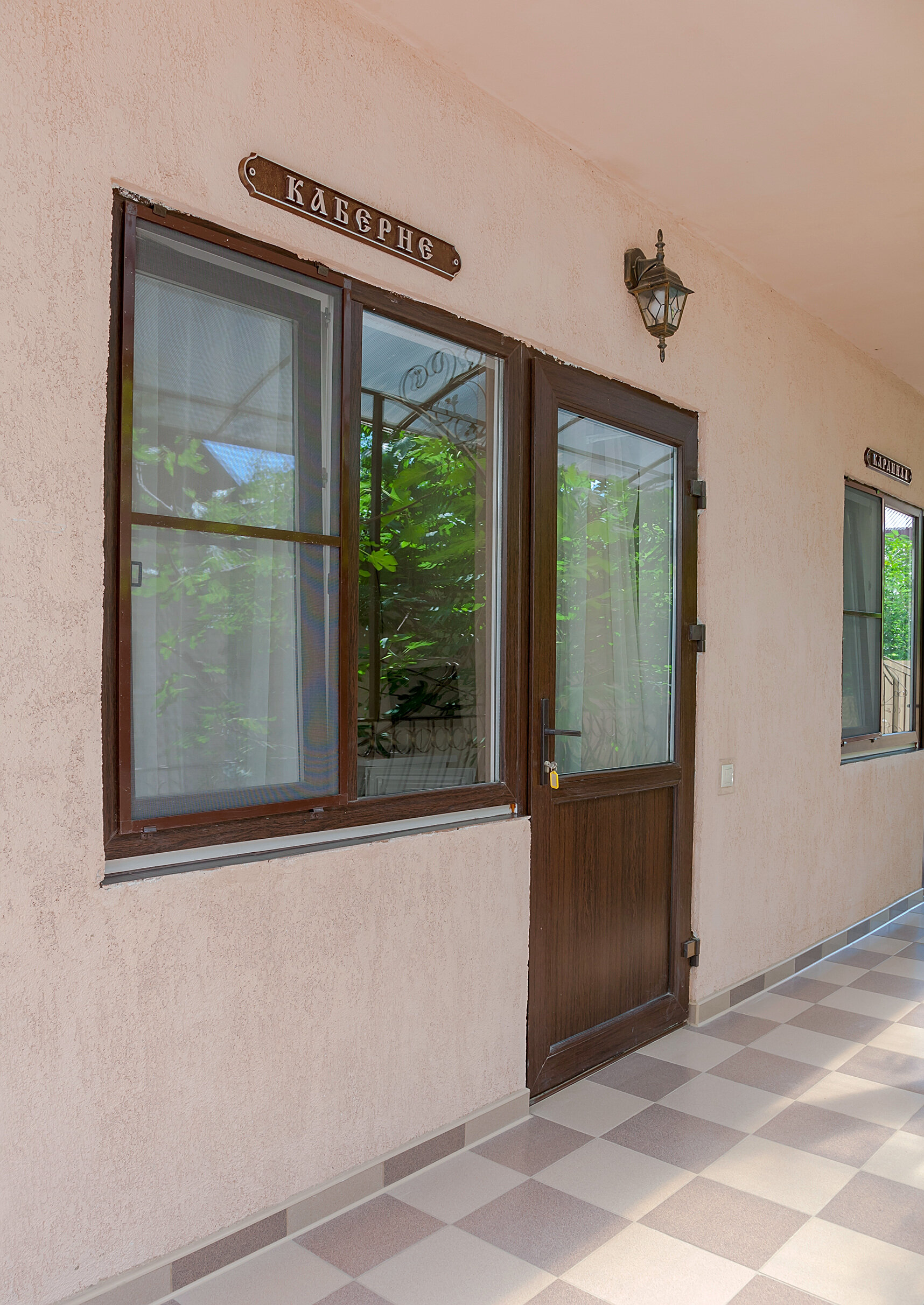 Фото Виноградная лестница