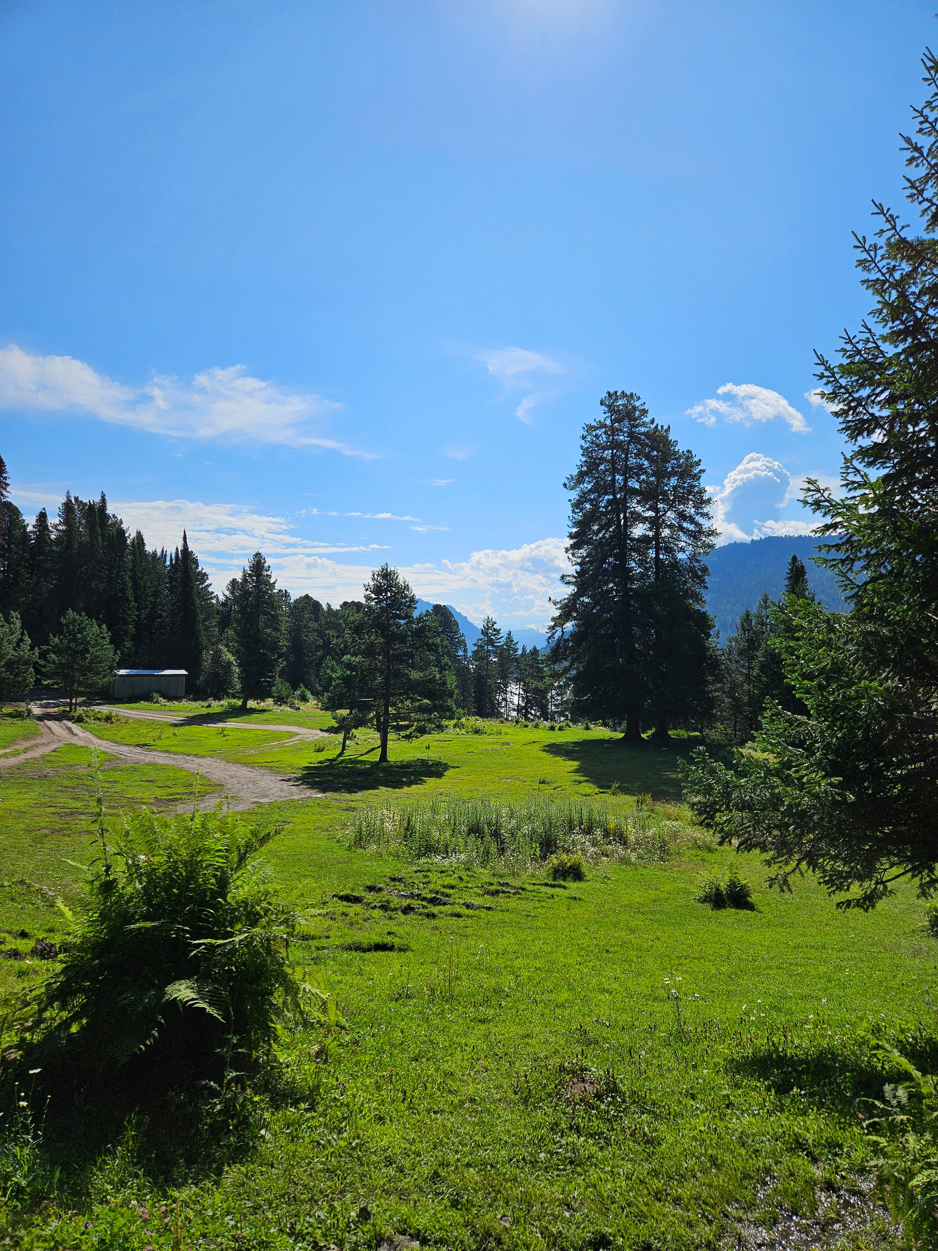 Фото Серебряный источник