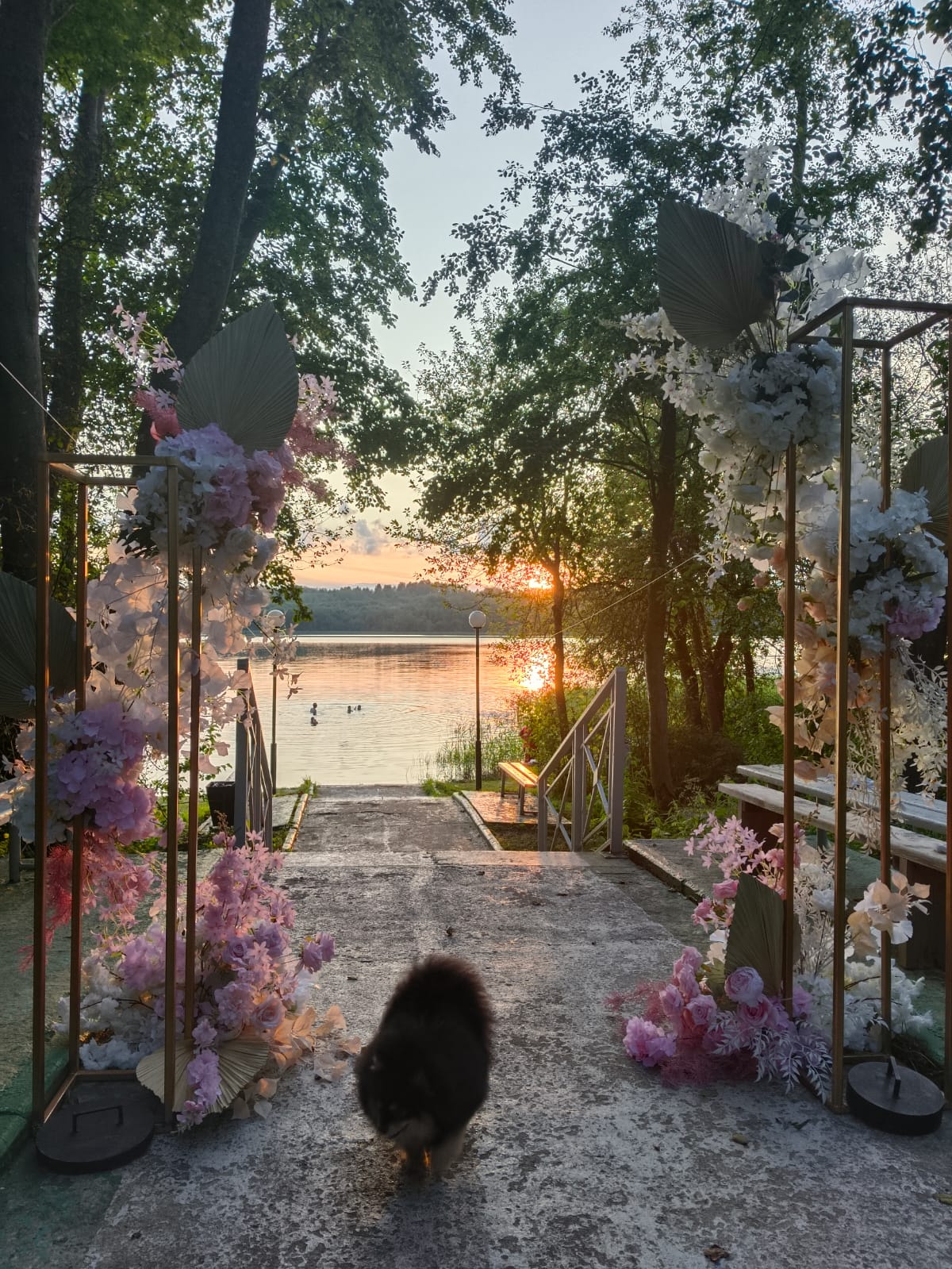 Фото Рутавечь