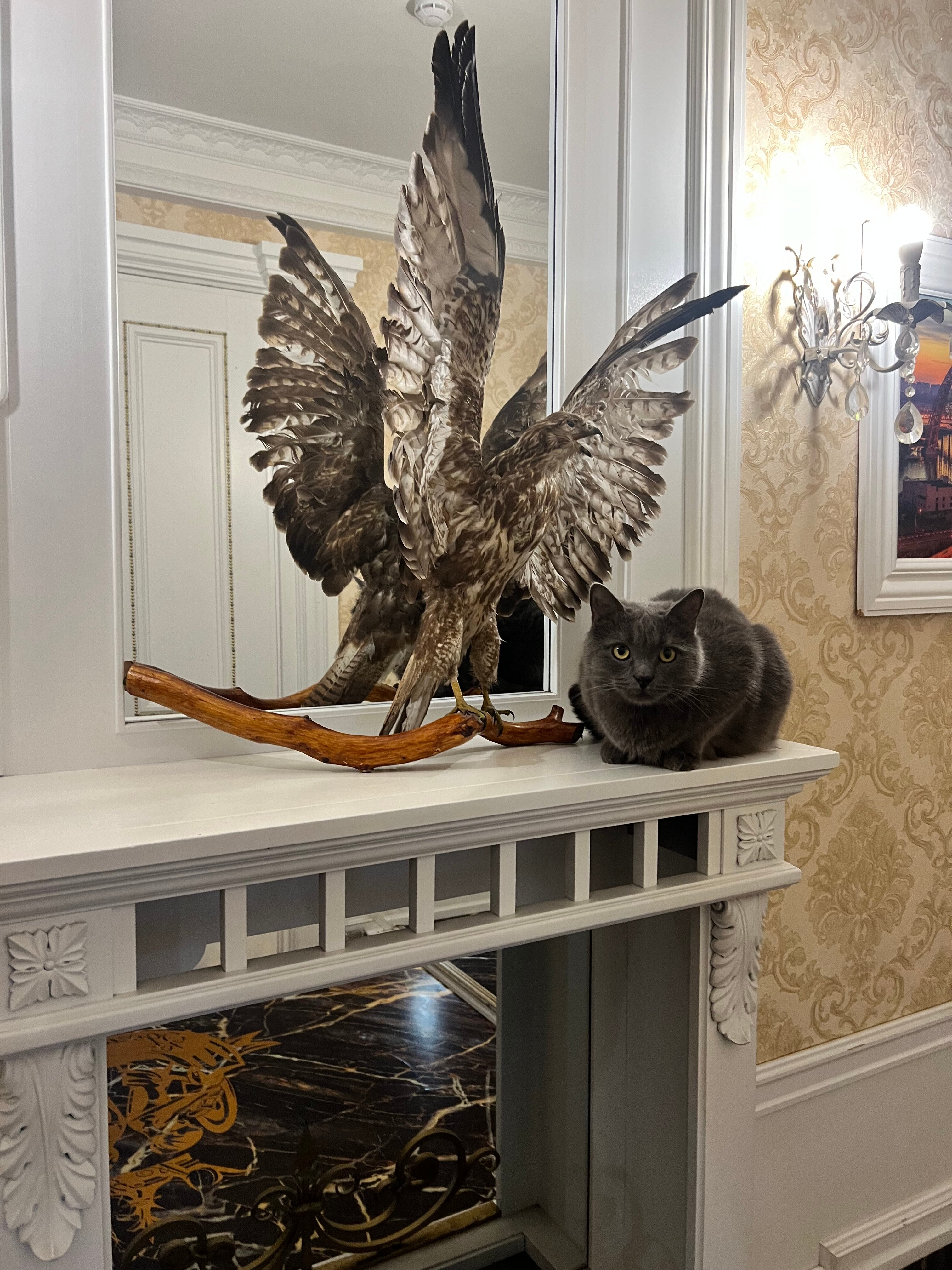 Фото Golden Hotel