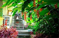 Фото Green View Widia