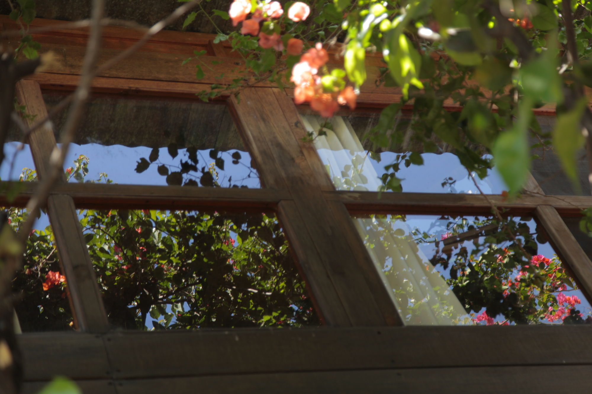 Фото Yellow House - Hostel