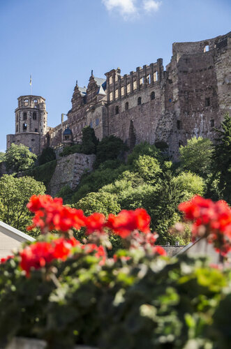 Гостиница Hotel Am Schloss в Хайдельберге
