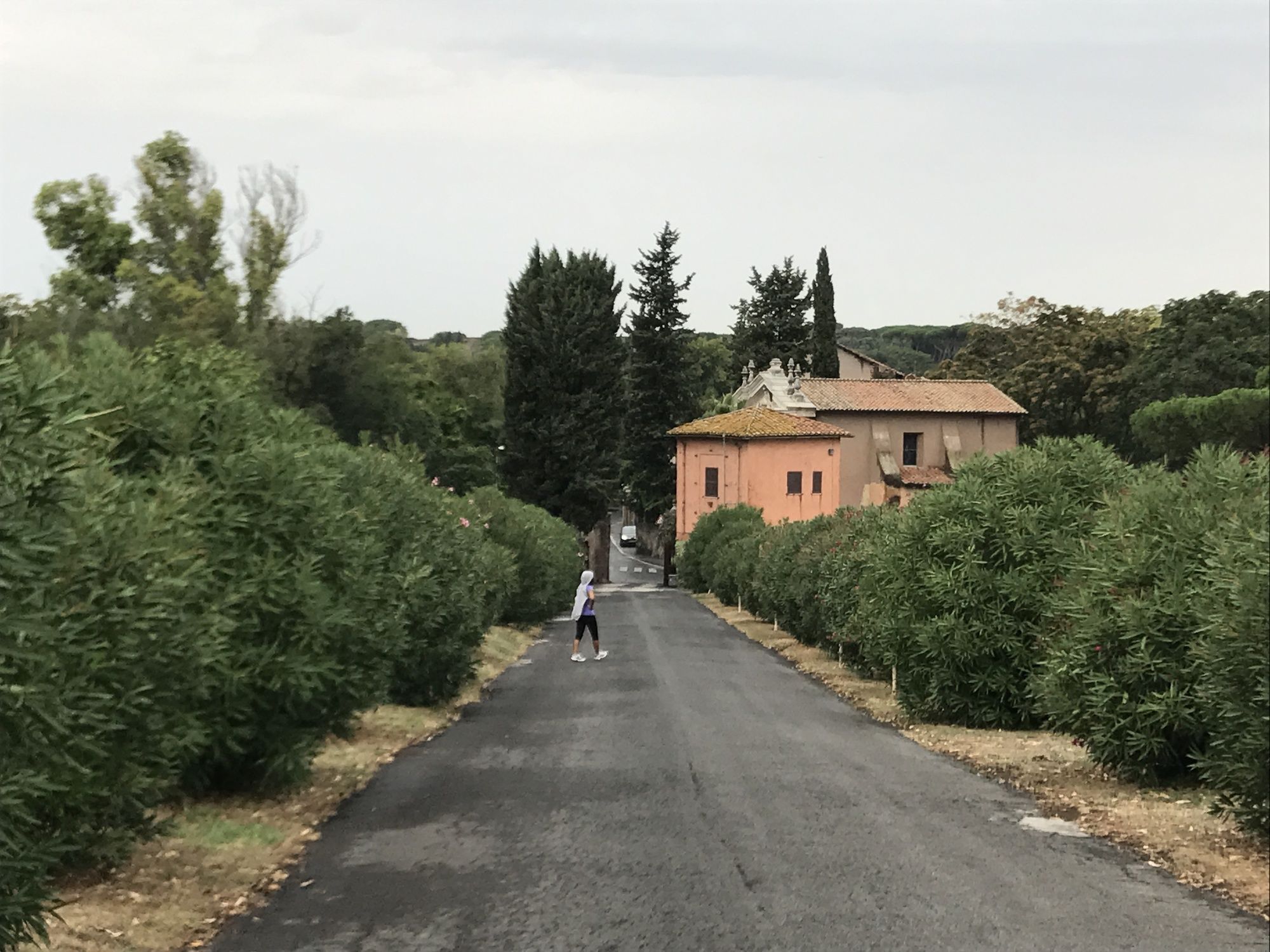 Фото Atticoromantica