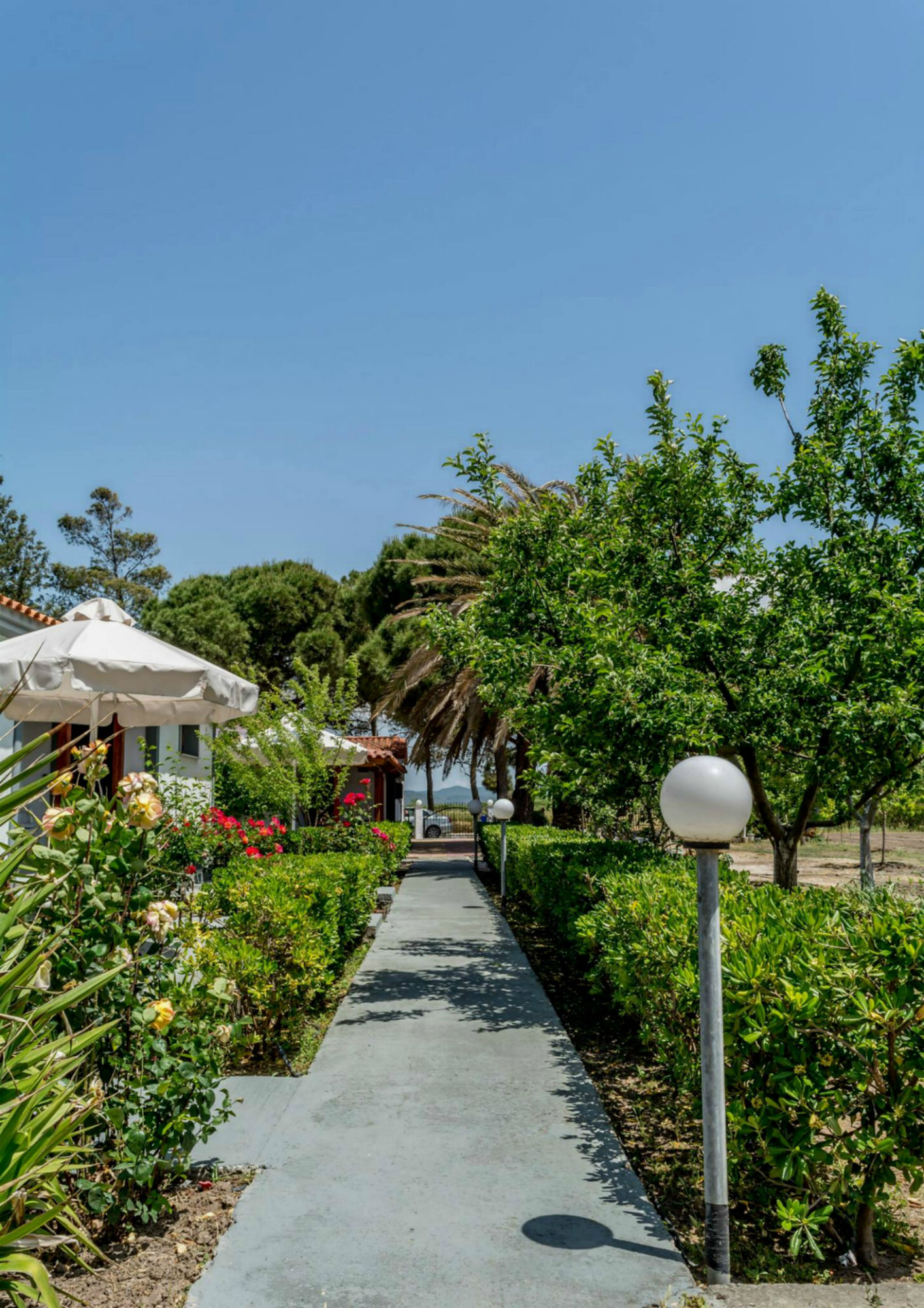 Фото Vicky Studios