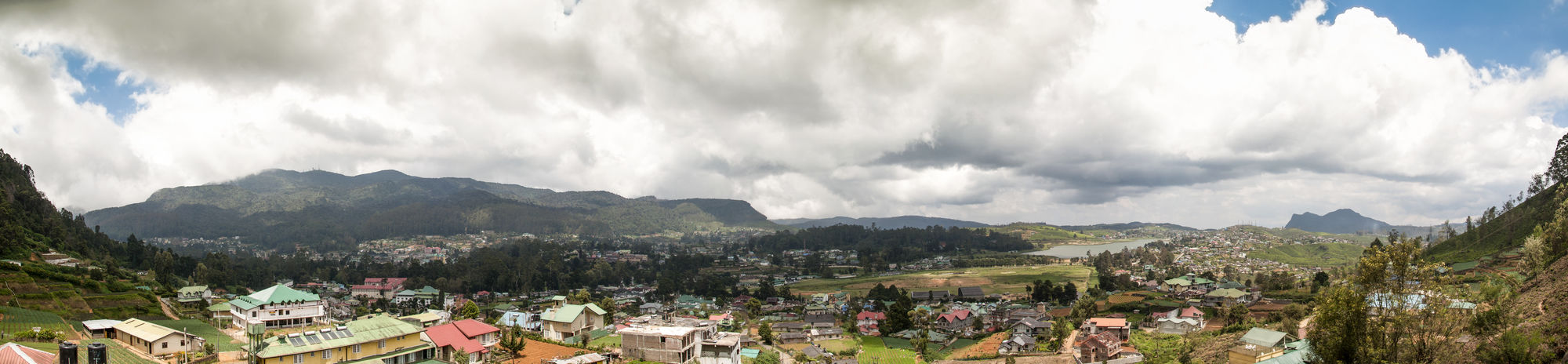 Фото Oak Ray Summer Hill Breeze