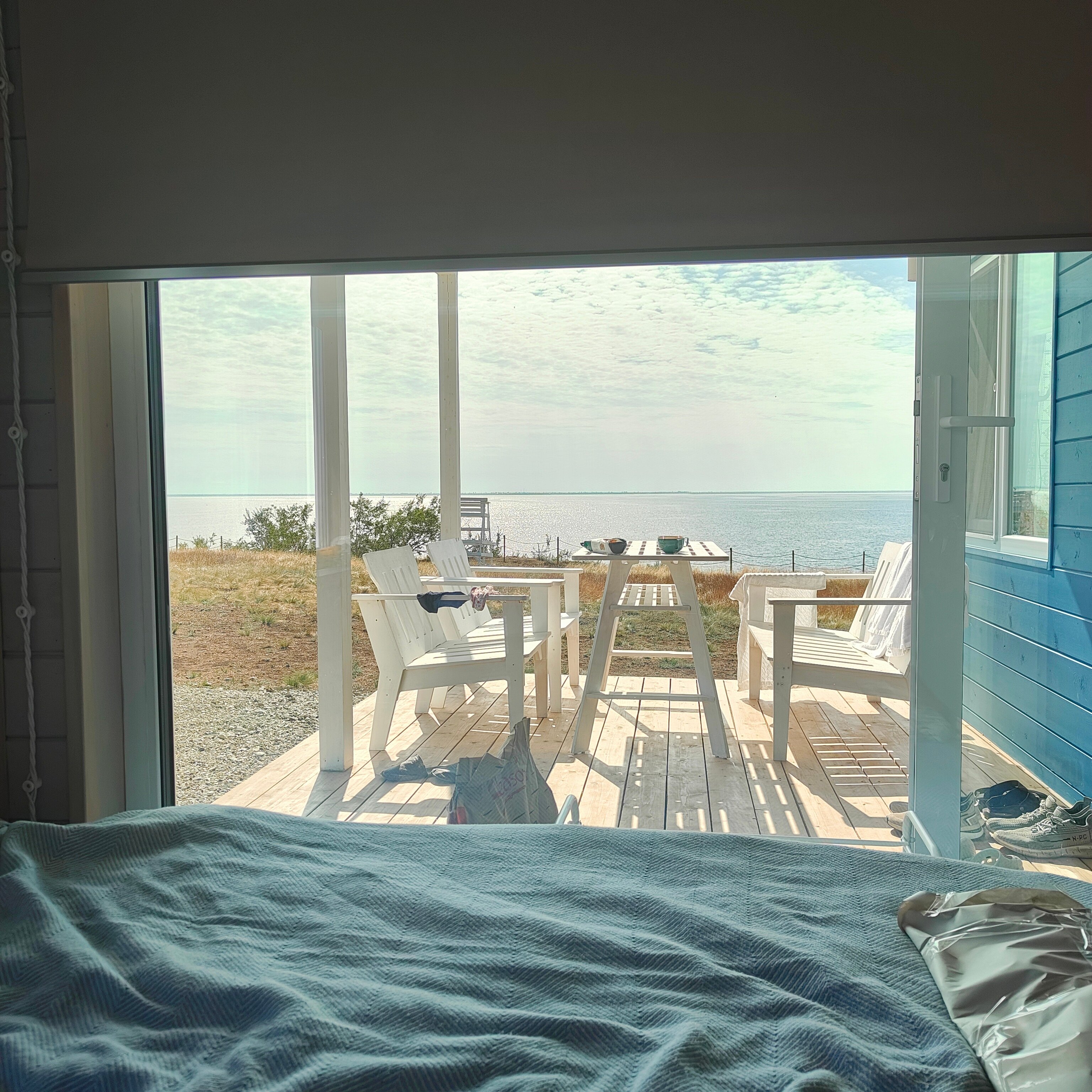 Фото Полынь