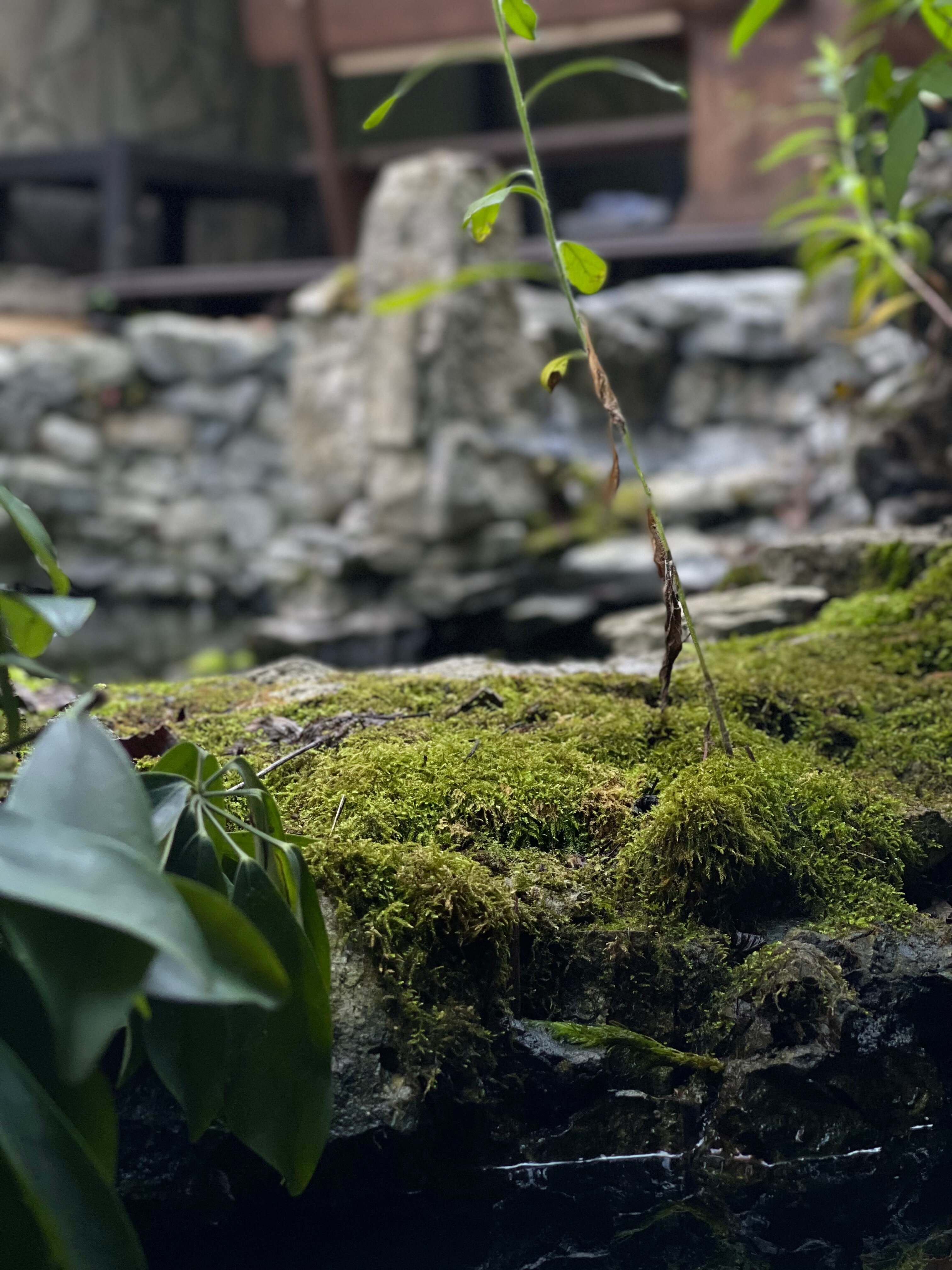 Фото Ретрит Дом Ливерпуль